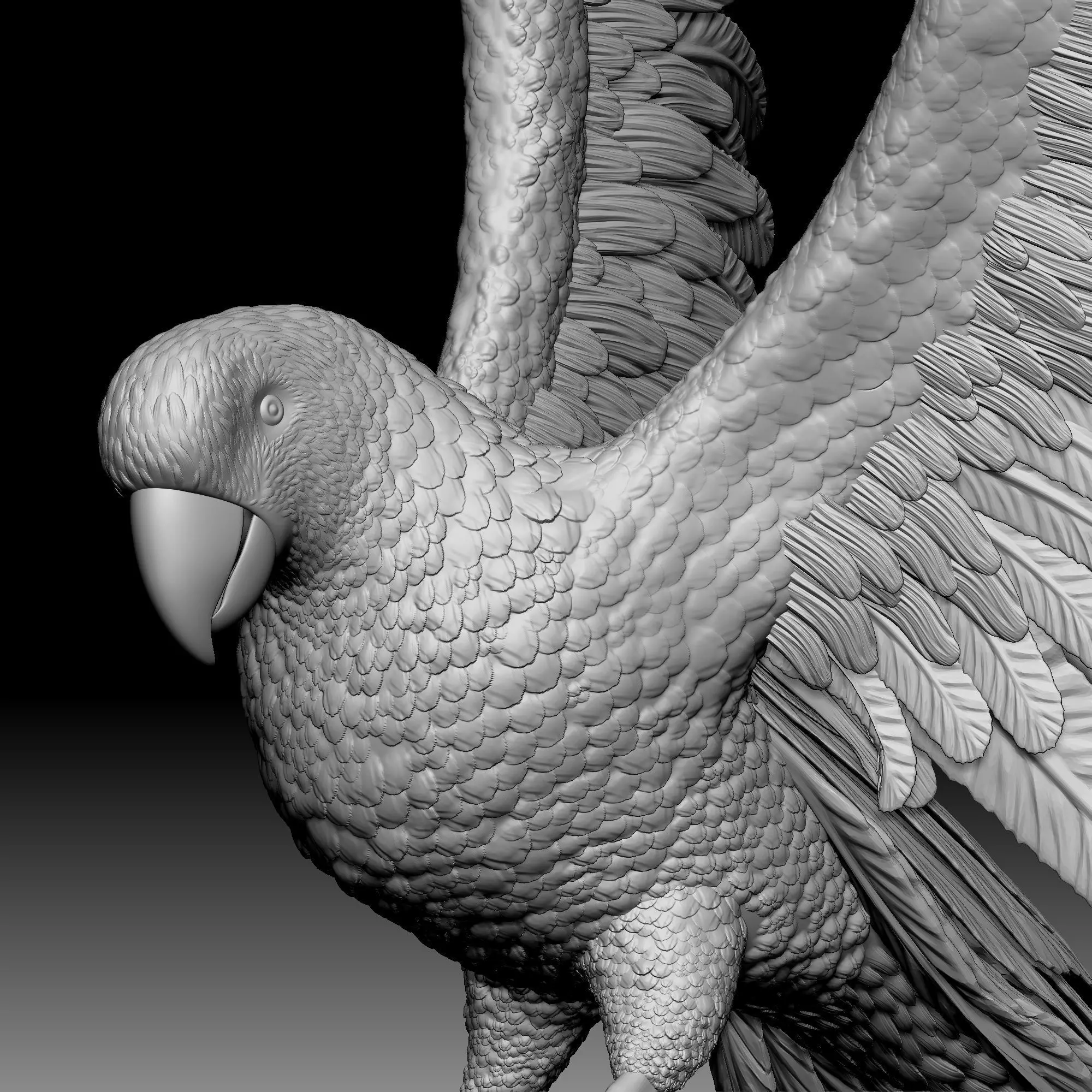 Parrot bird 020 3D print model_0