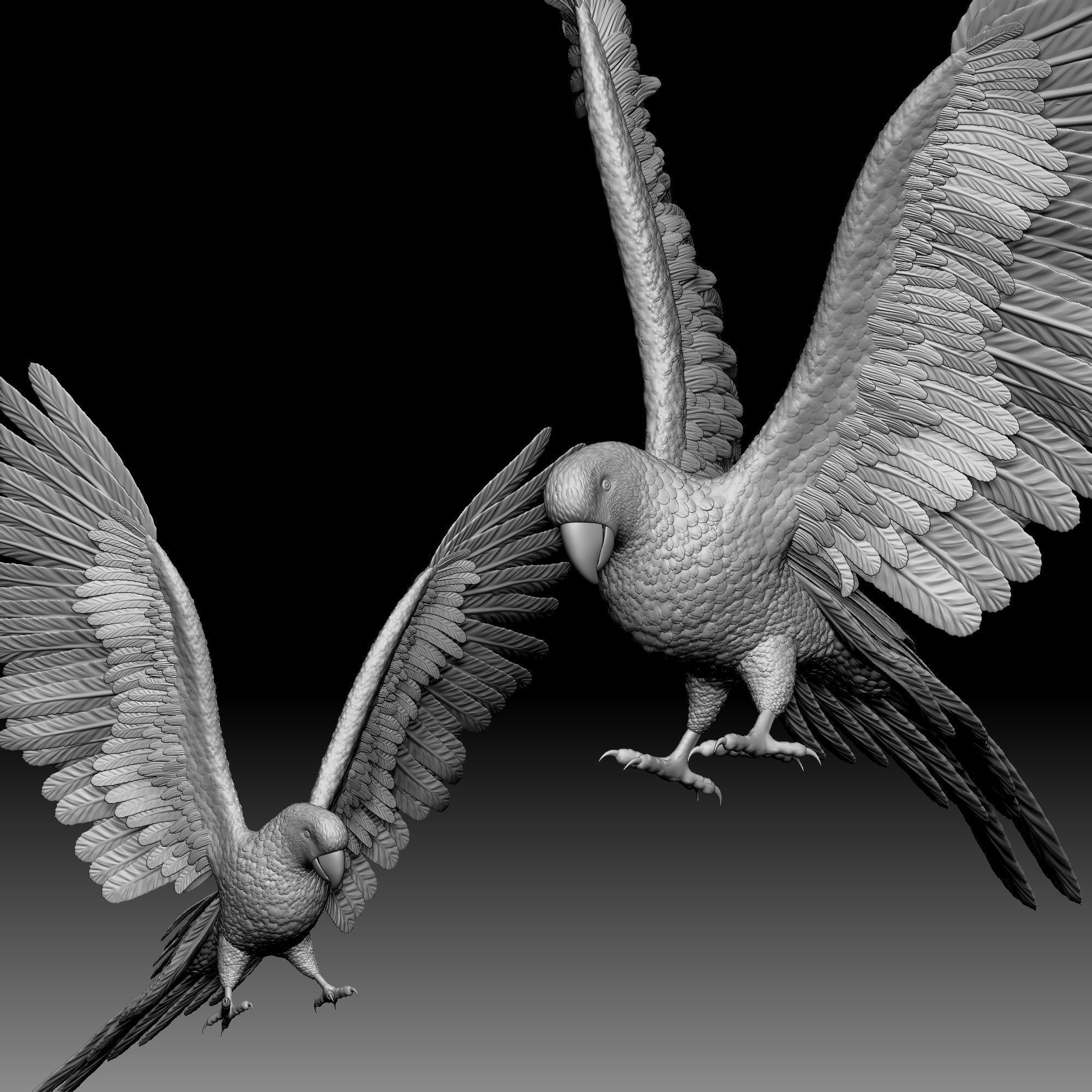 Parrot bird 020 3D print model_2