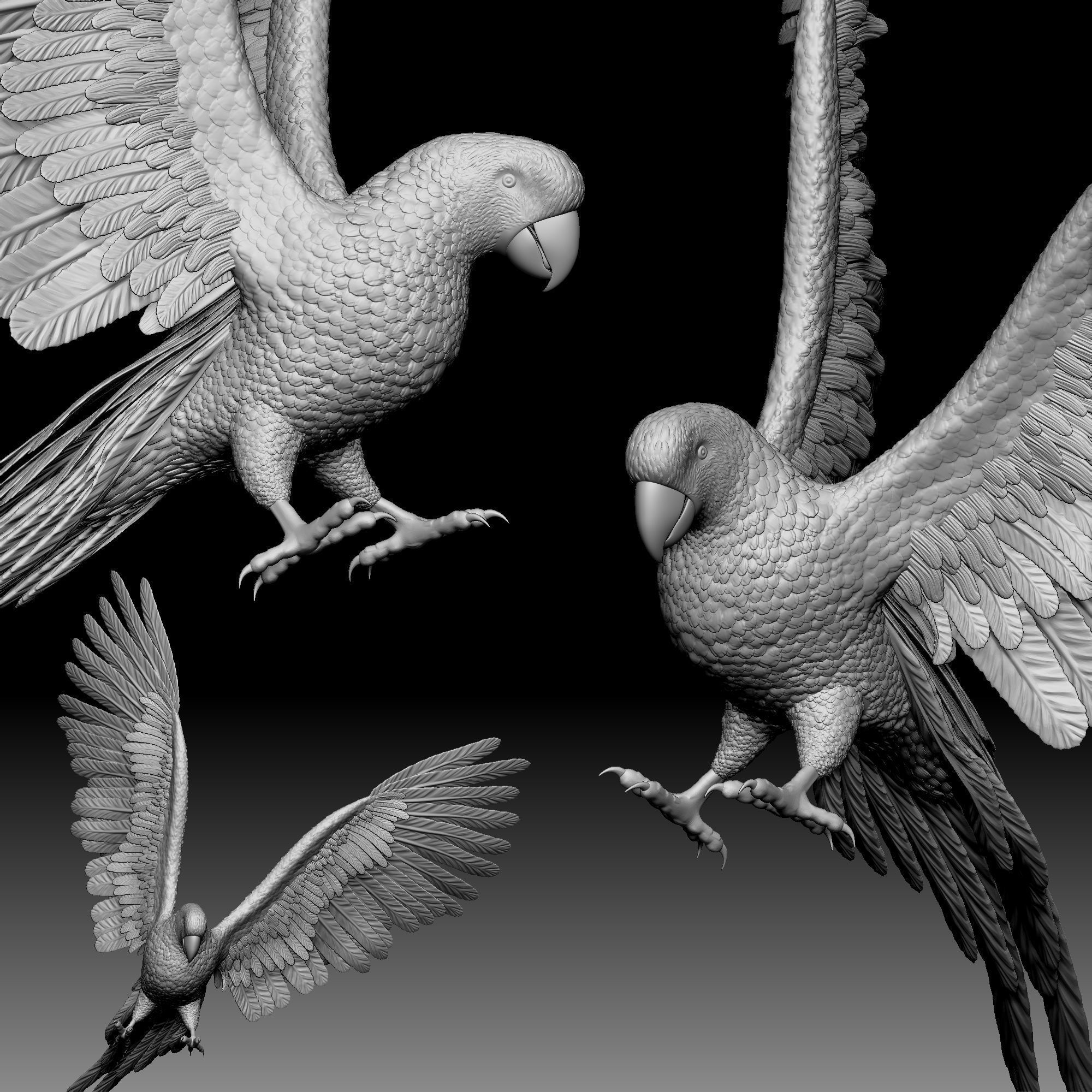 Parrot bird 020 3D print model_4
