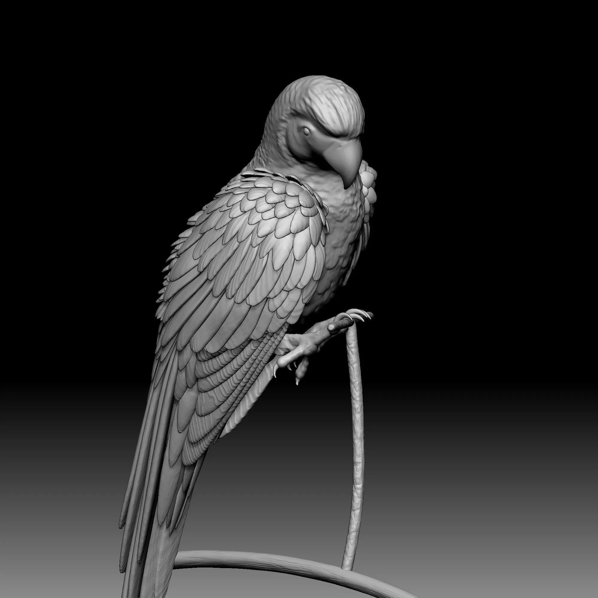 Parrot bird 030 3D print model_0