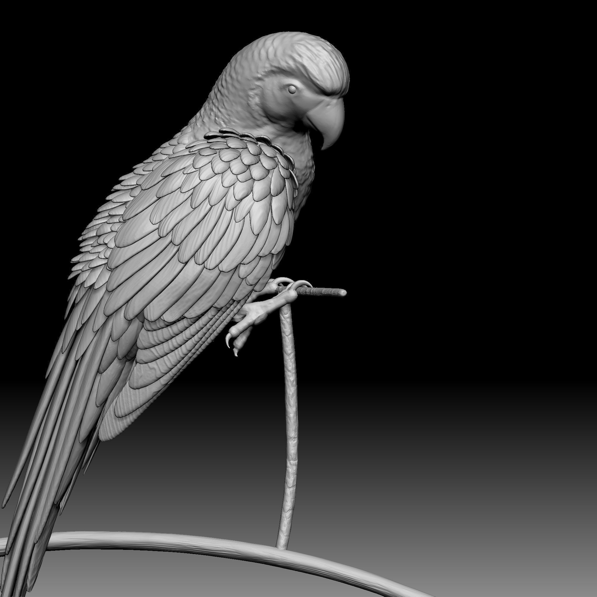 Parrot bird 030 3D print model_4