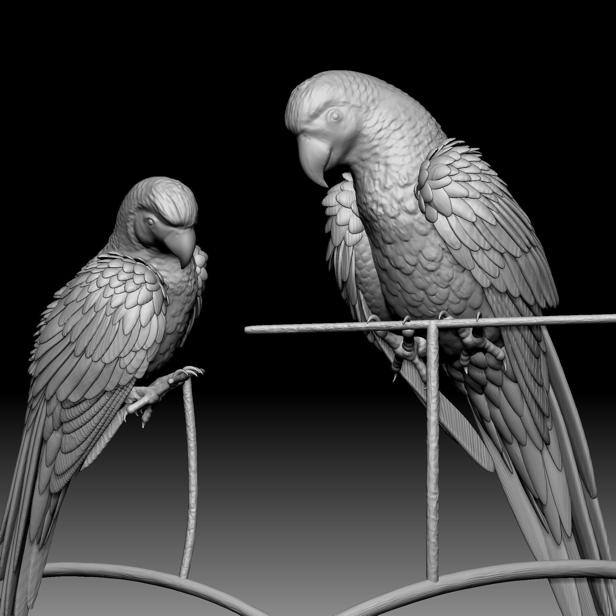 Parrot bird 030 3D print model_3
