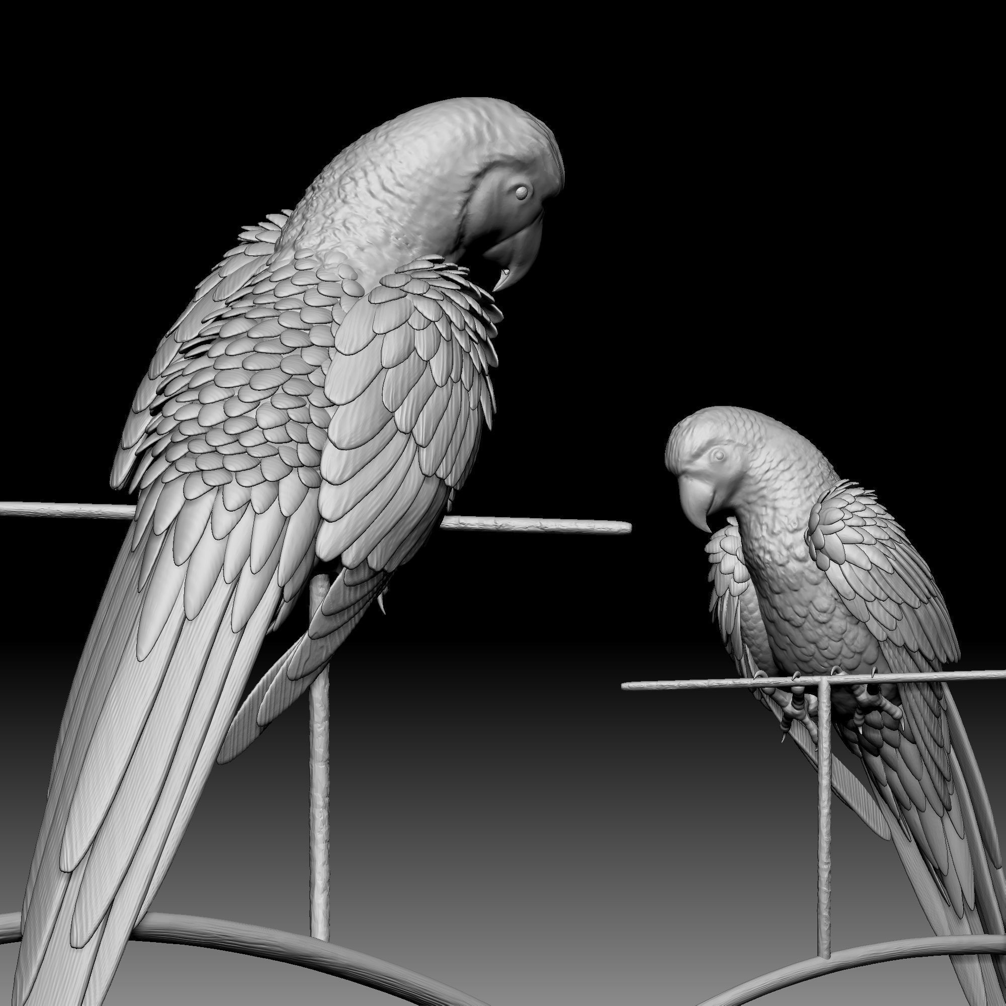 Parrot bird 030 3D print model_2