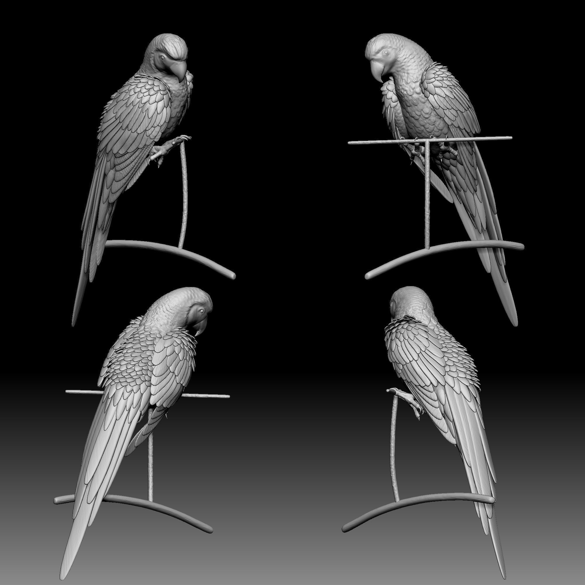 Parrot bird 030 3D print model_1