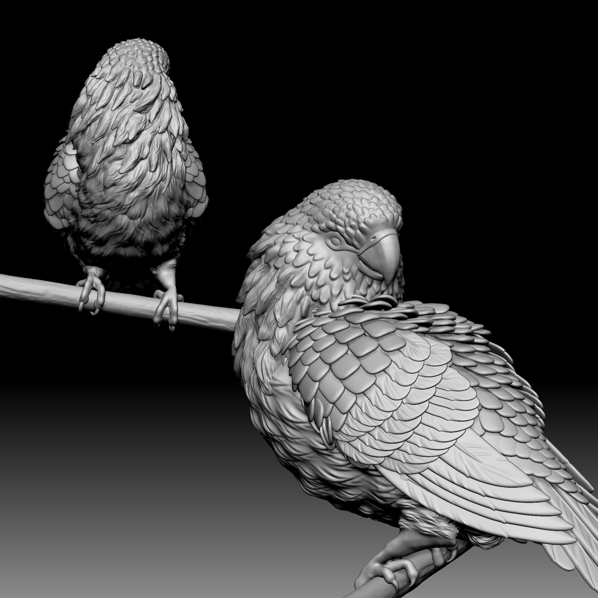 Parrot bird 040 3D print model_3