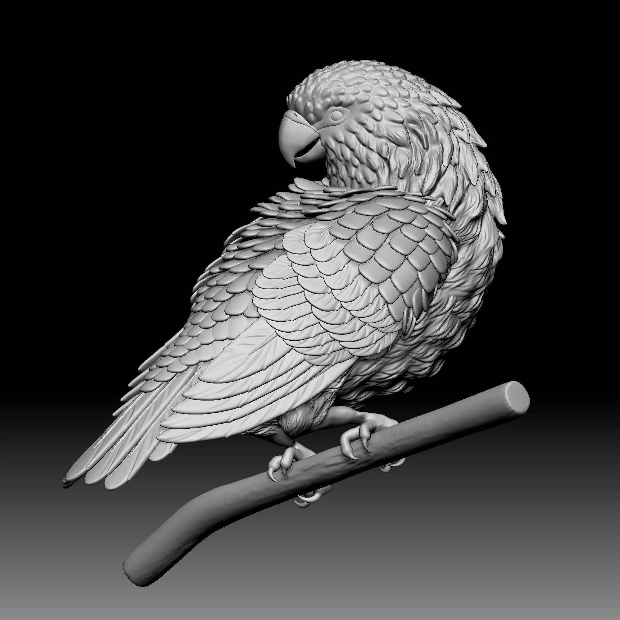 Parrot bird 040 3D print model_0