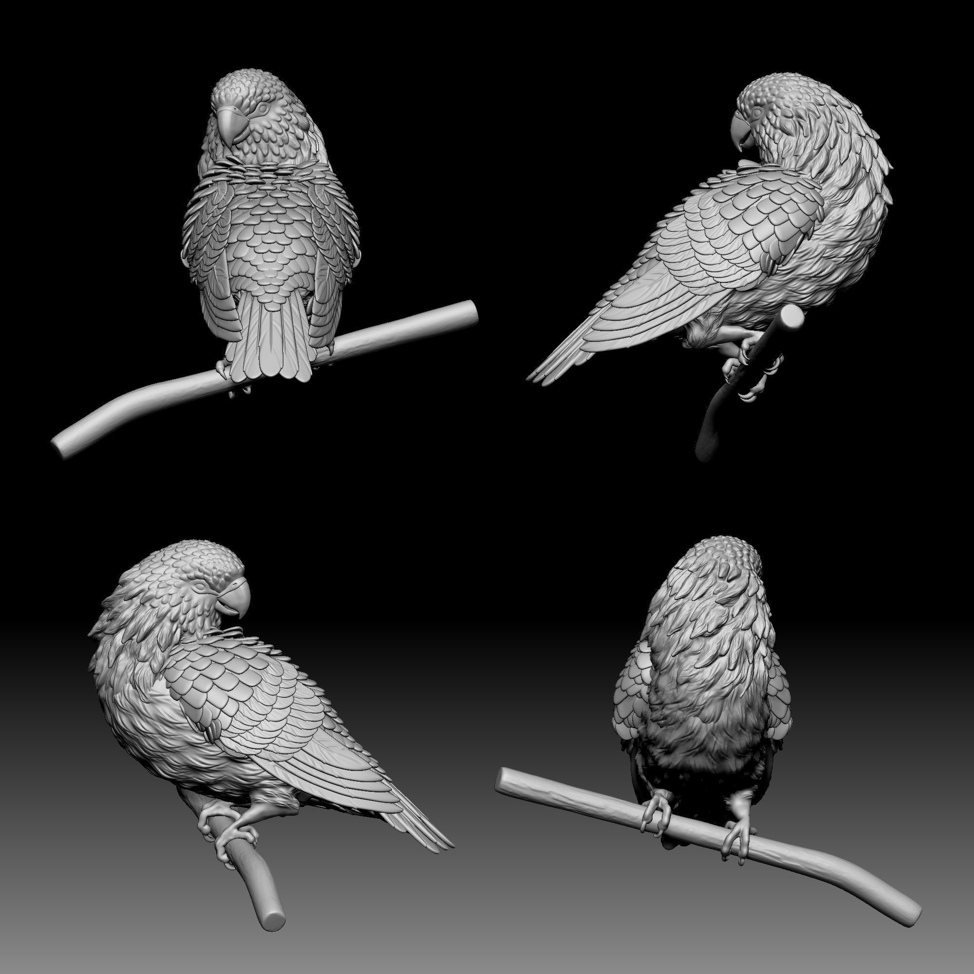 Parrot bird 040 3D print model_1
