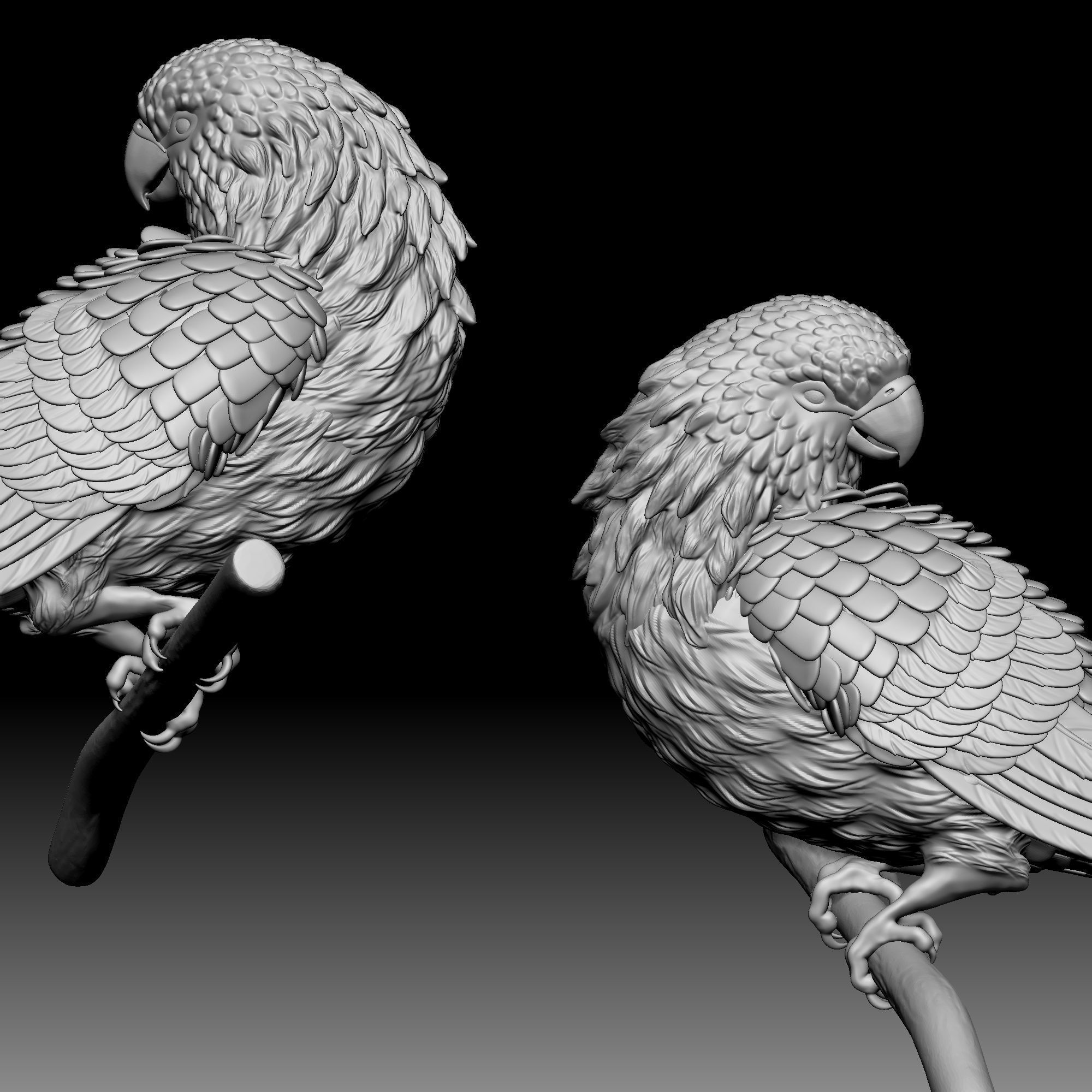 Parrot bird 040 3D print model_4