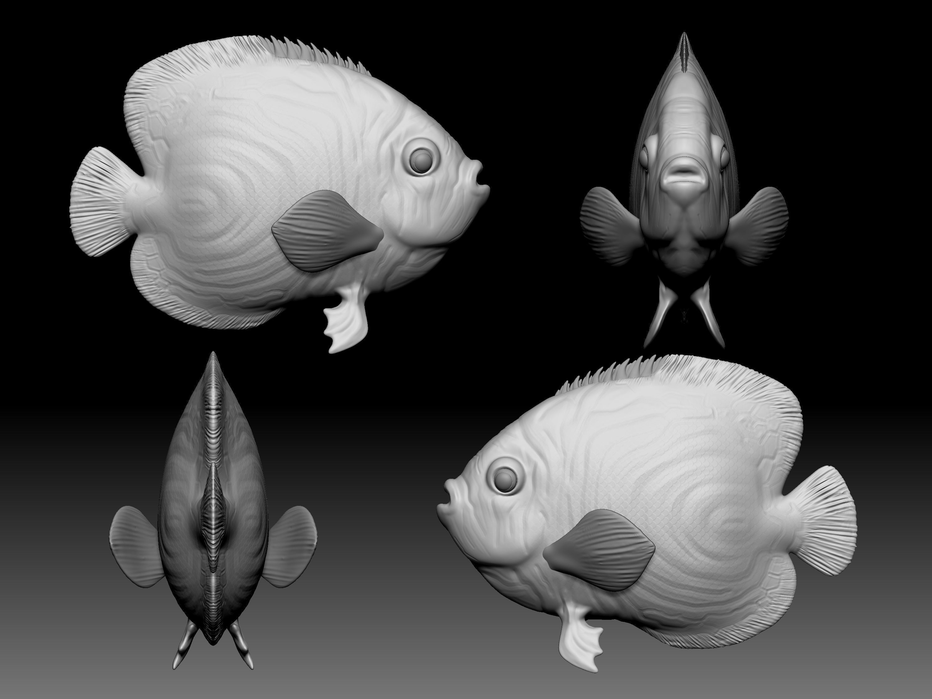 Sea fish 3D print model_3