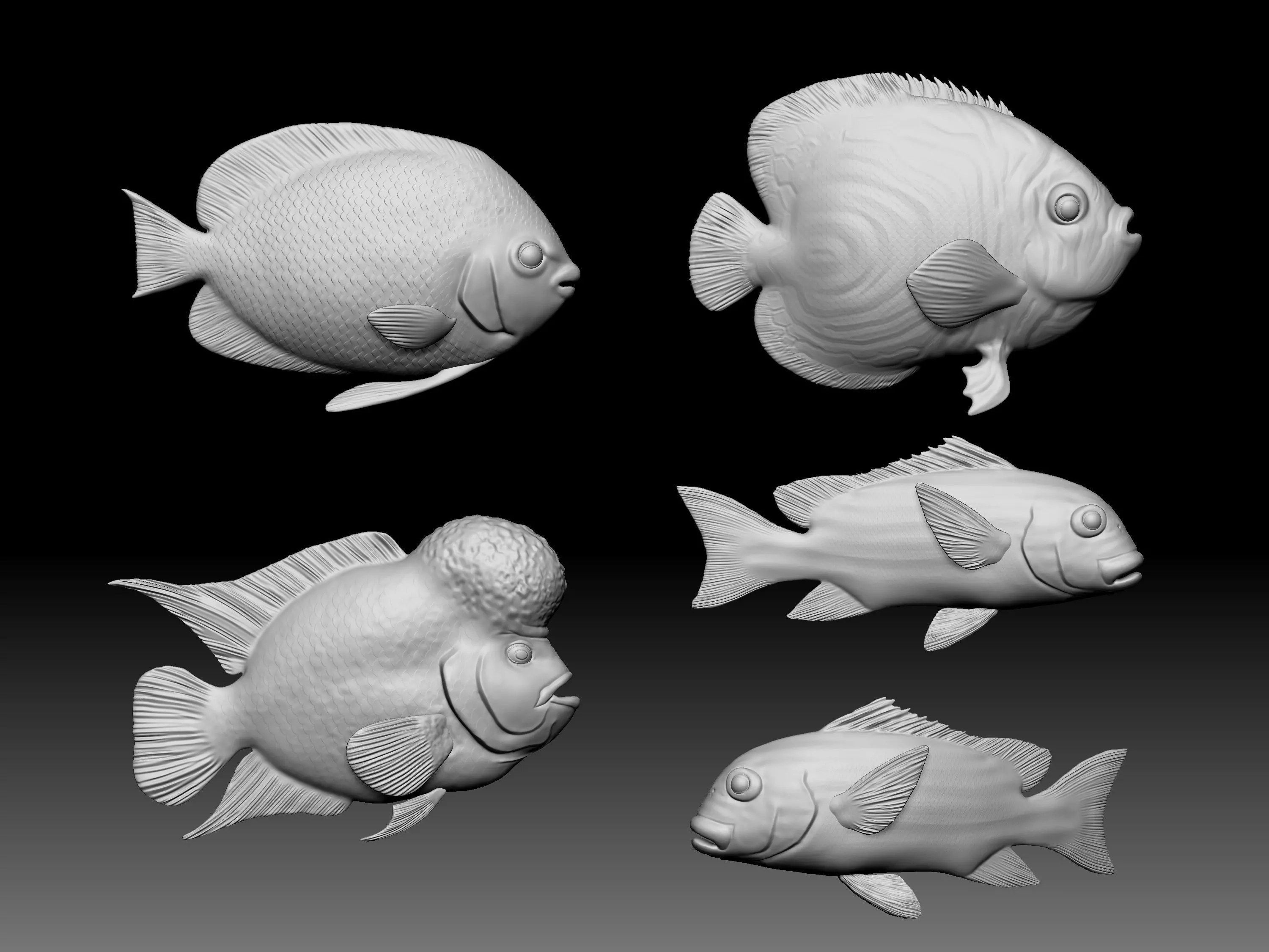 Sea fish 3D print model_0