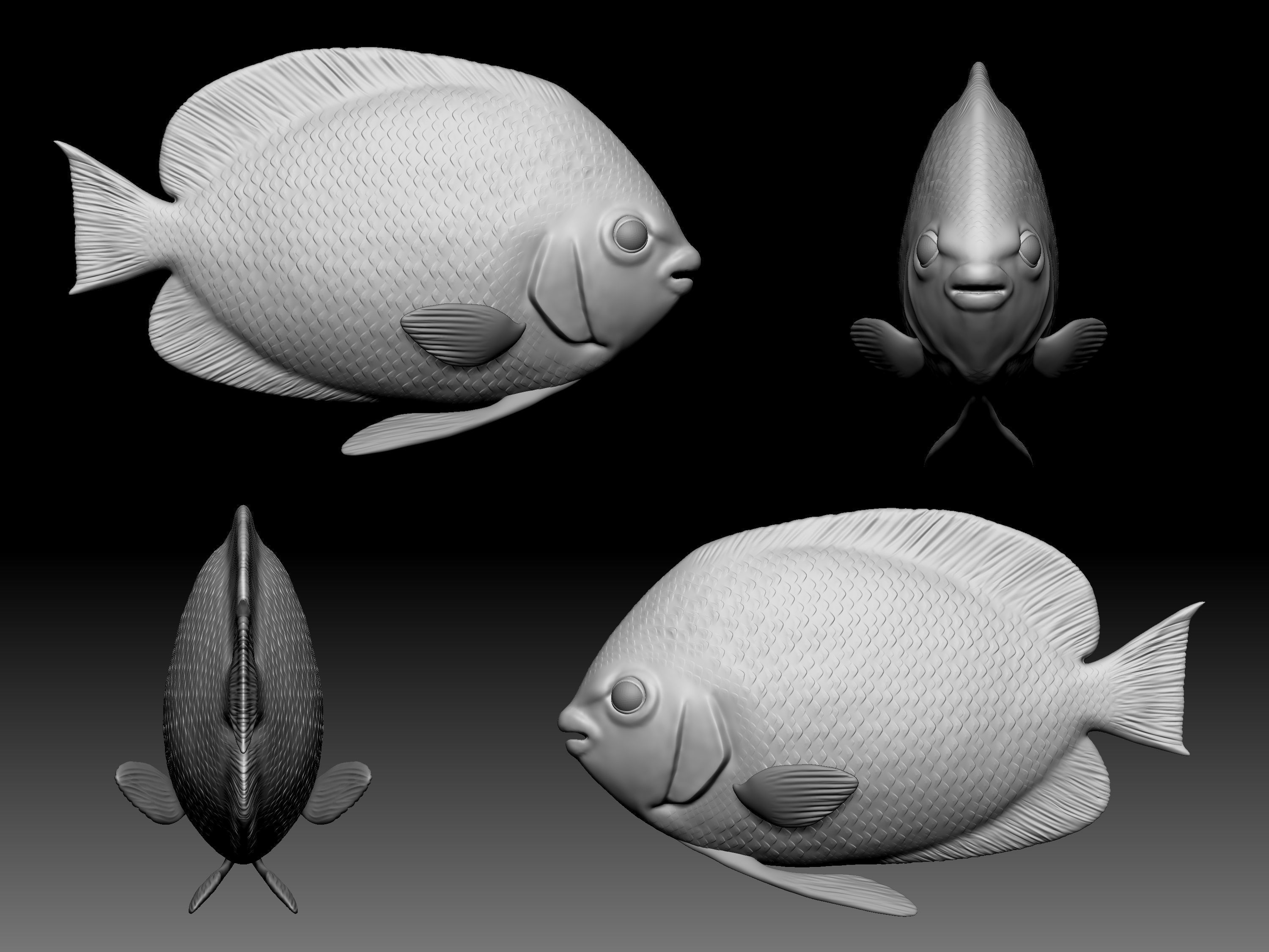 Sea fish 3D print model_4