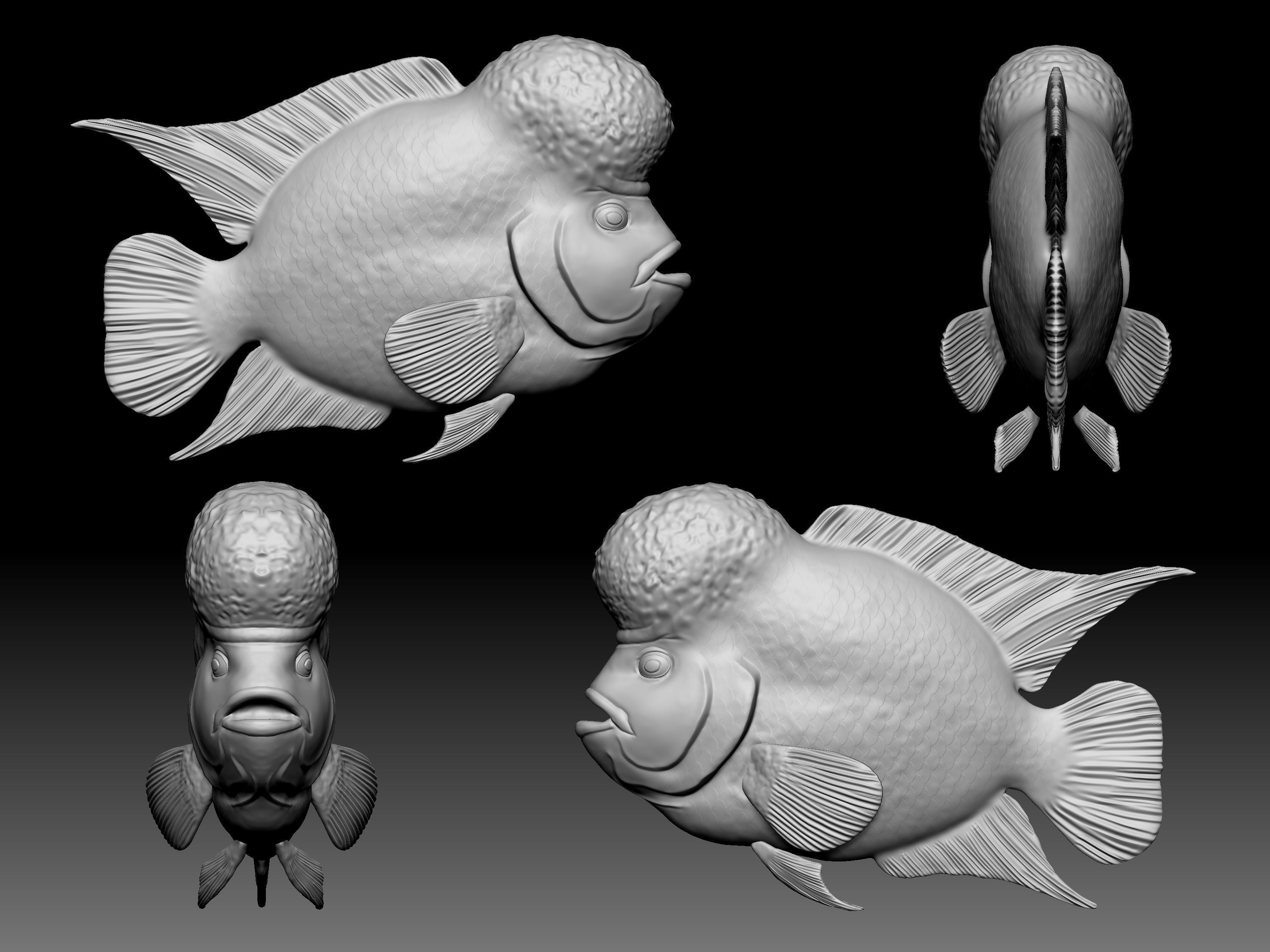 Sea fish 3D print model_2