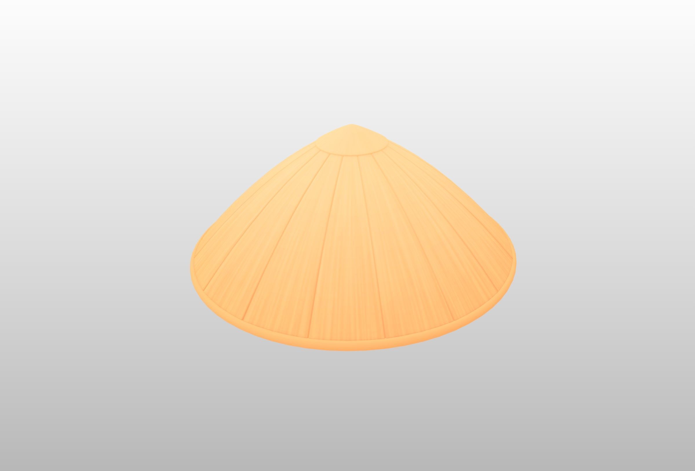 Hat041 Bamboo Hat 3D model_23