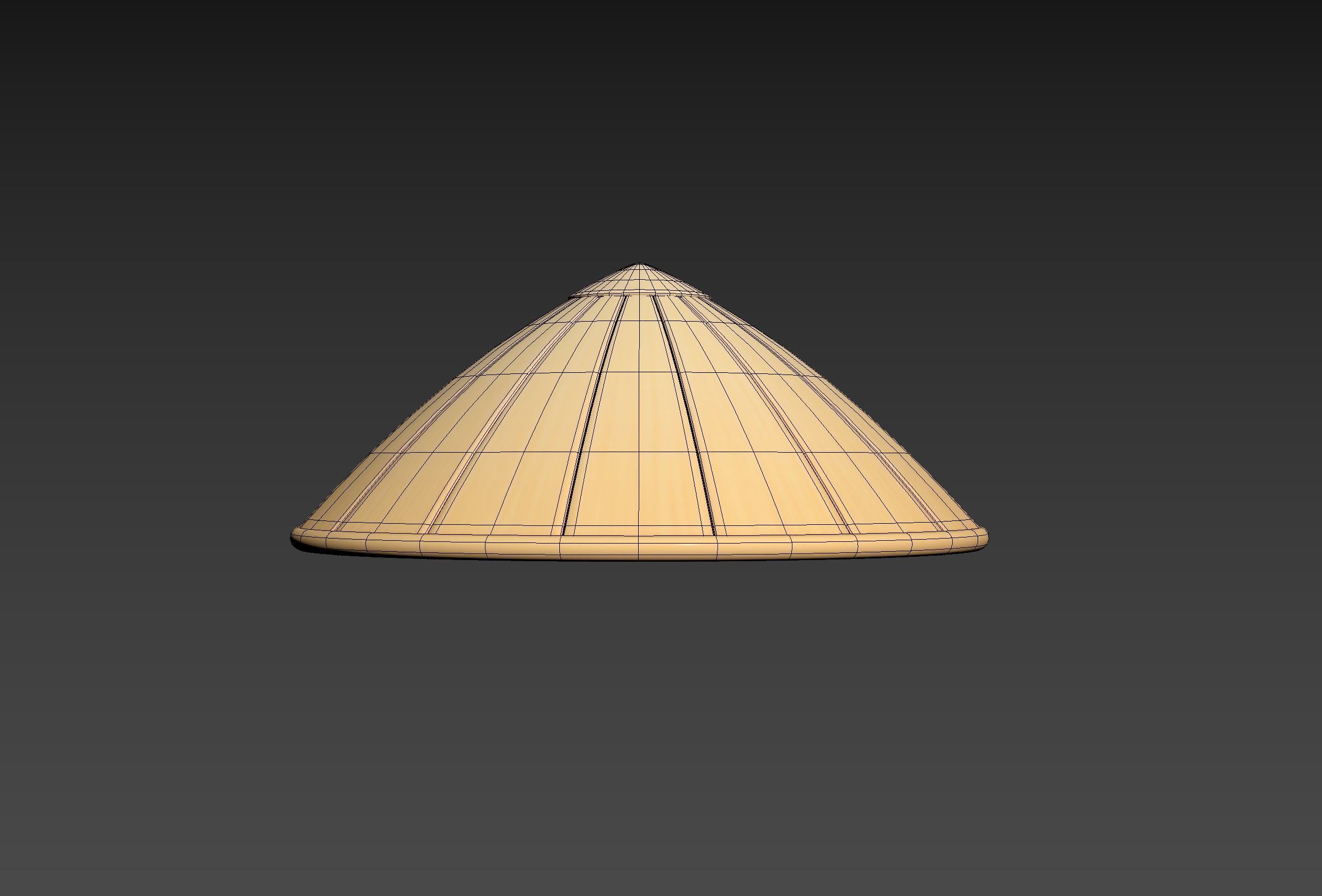 Hat041 Bamboo Hat 3D model_14