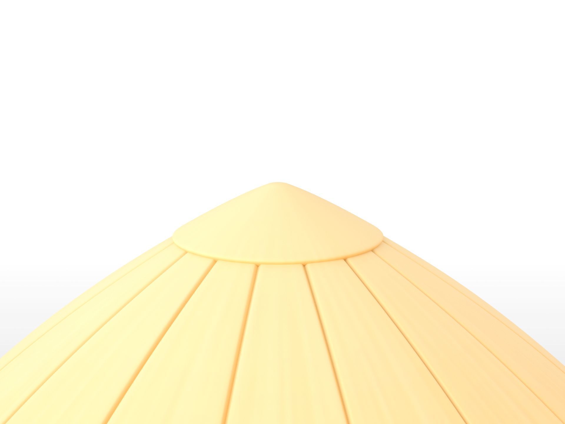 Hat041 Bamboo Hat 3D model_6