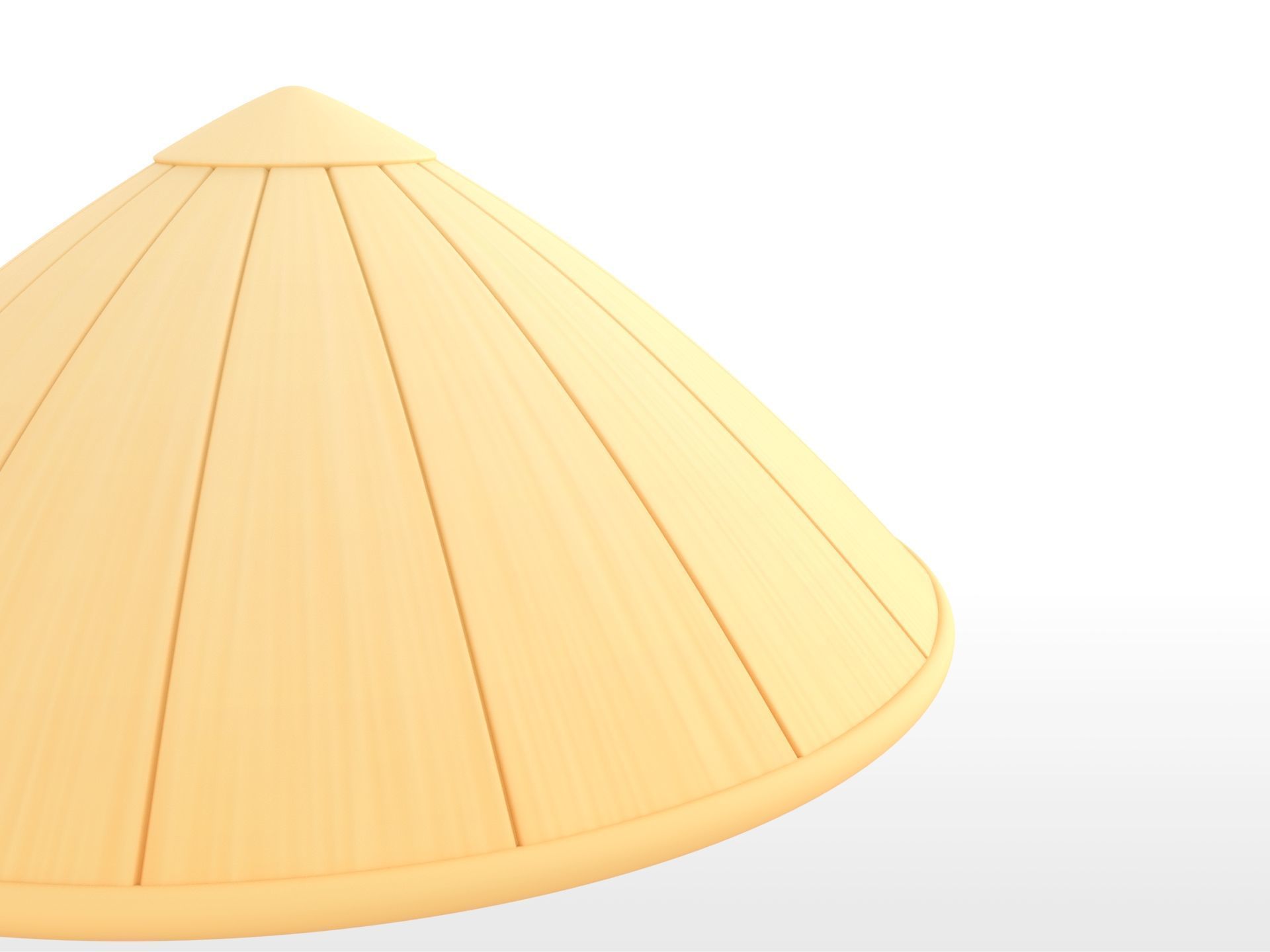 Hat041 Bamboo Hat 3D model_9