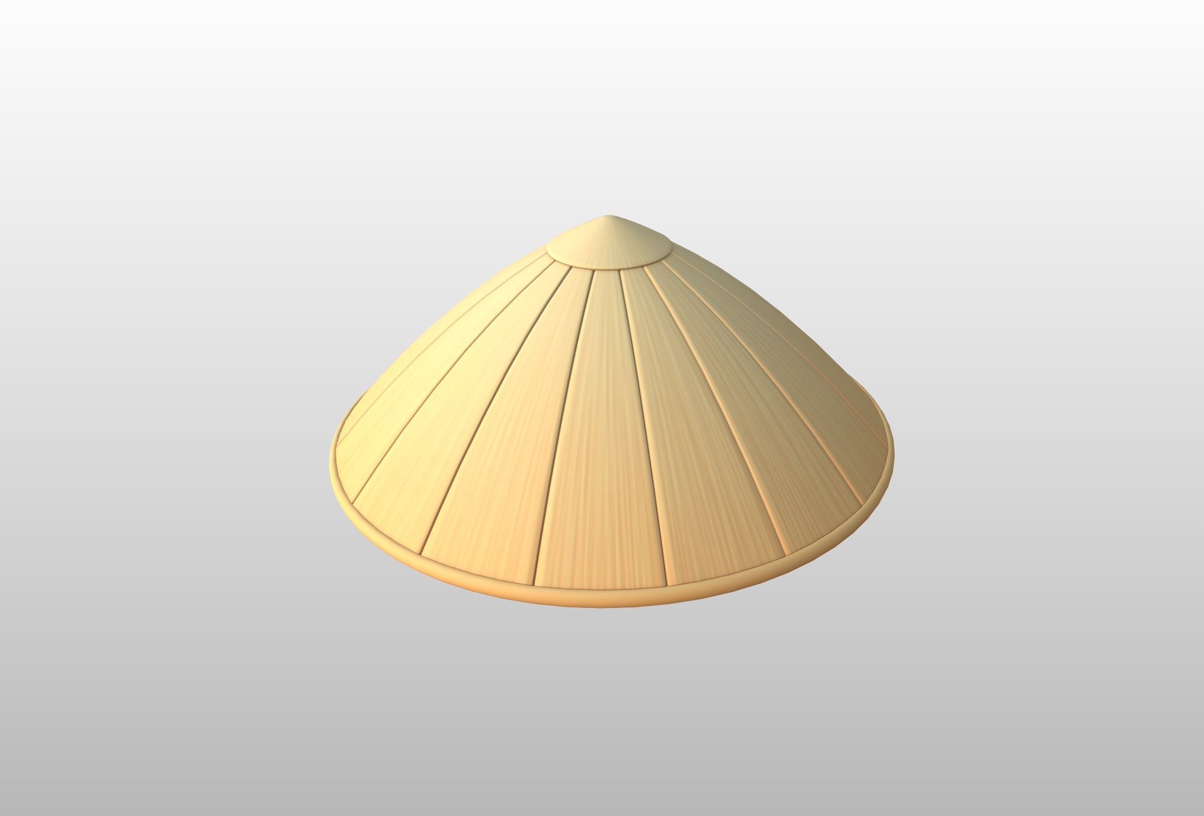 Hat041 Bamboo Hat 3D model_22