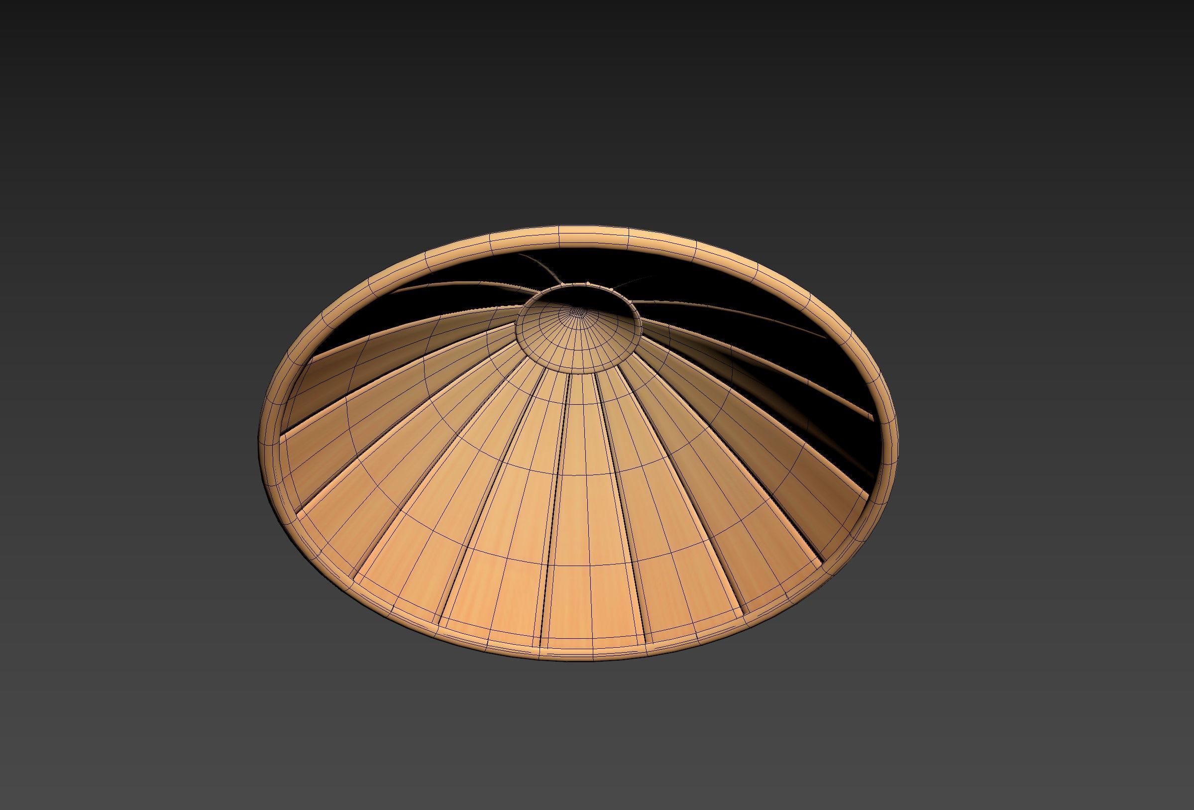 Hat041 Bamboo Hat 3D model_13