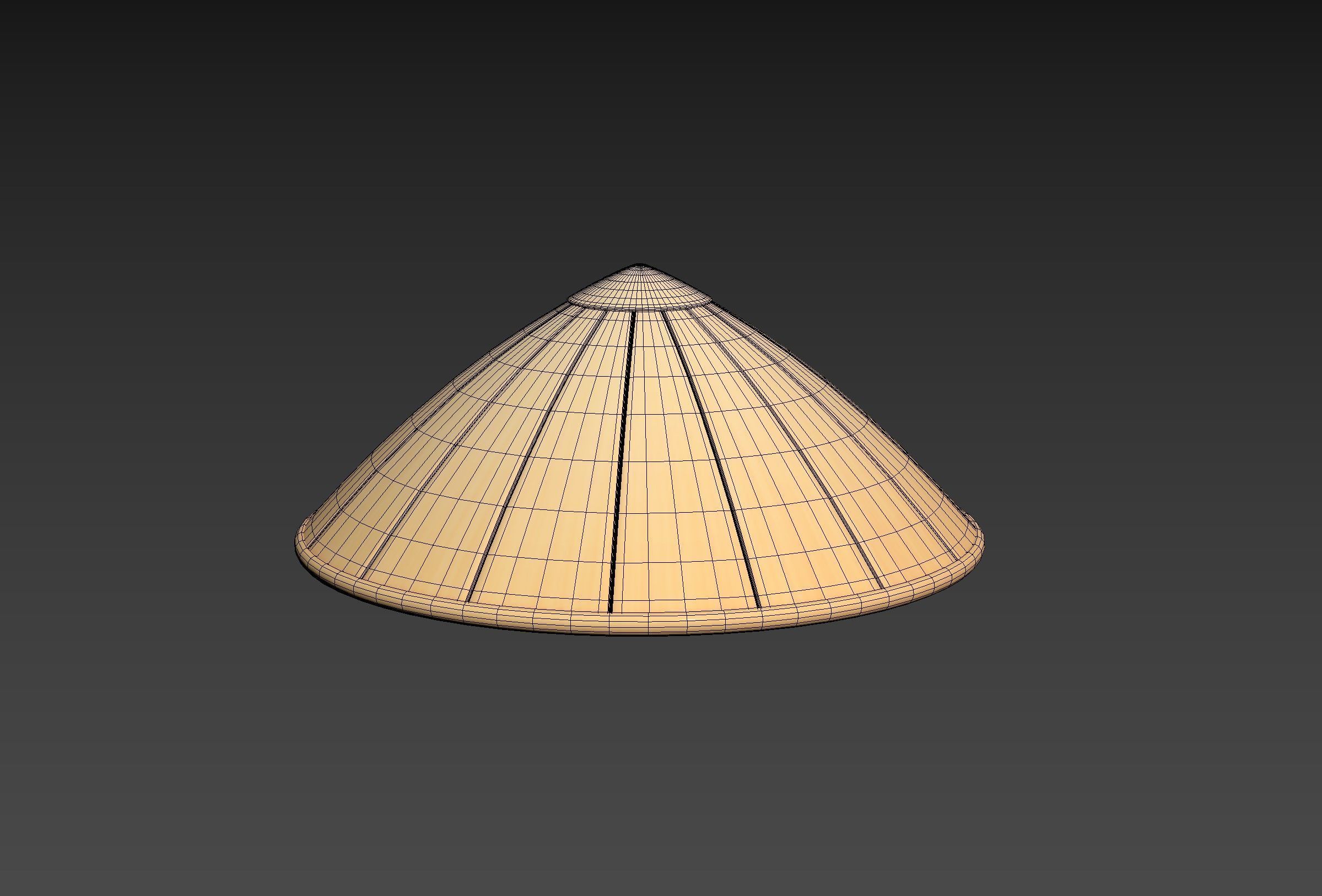 Hat041 Bamboo Hat 3D model_12