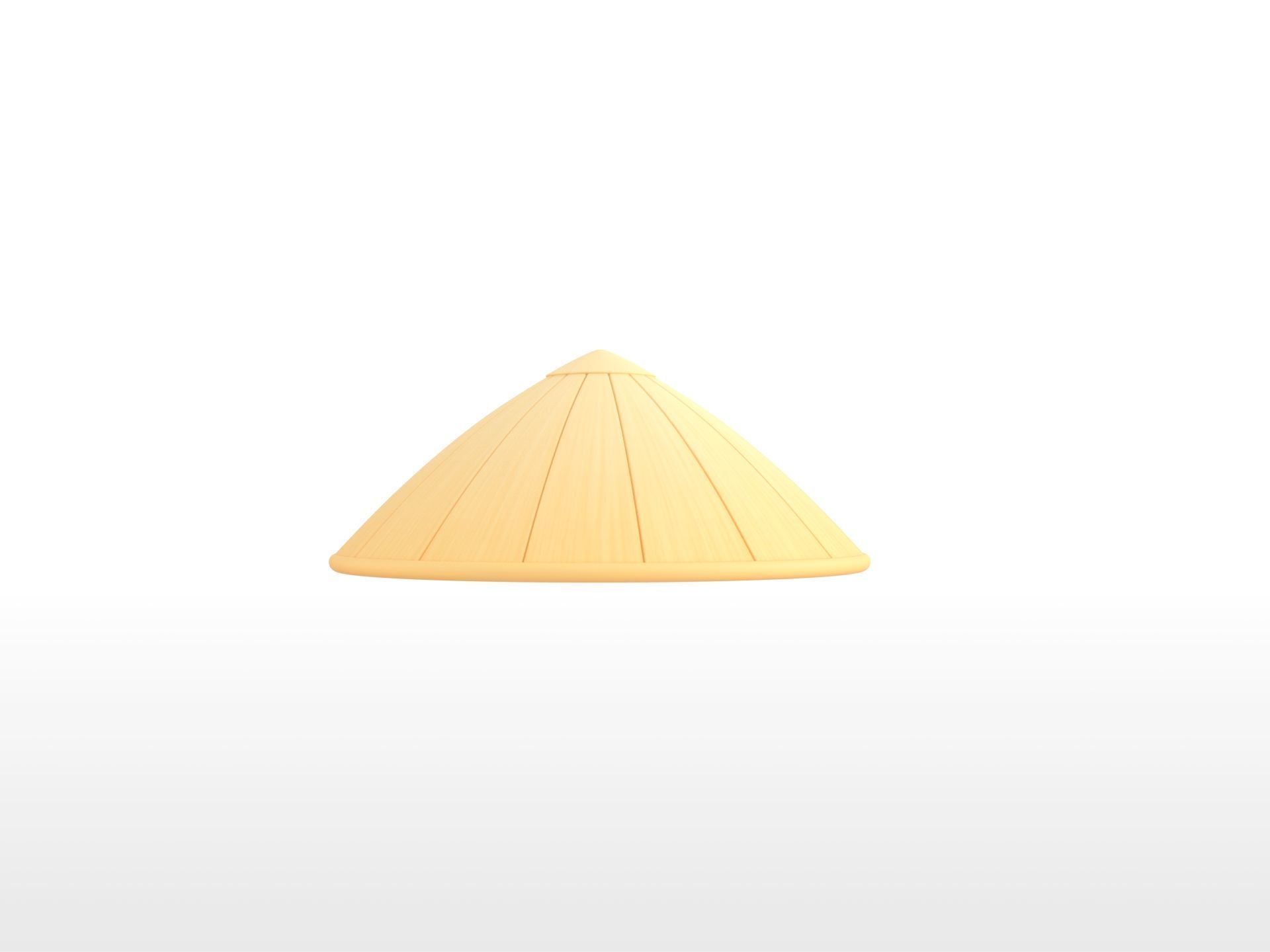 Hat041 Bamboo Hat 3D model_1