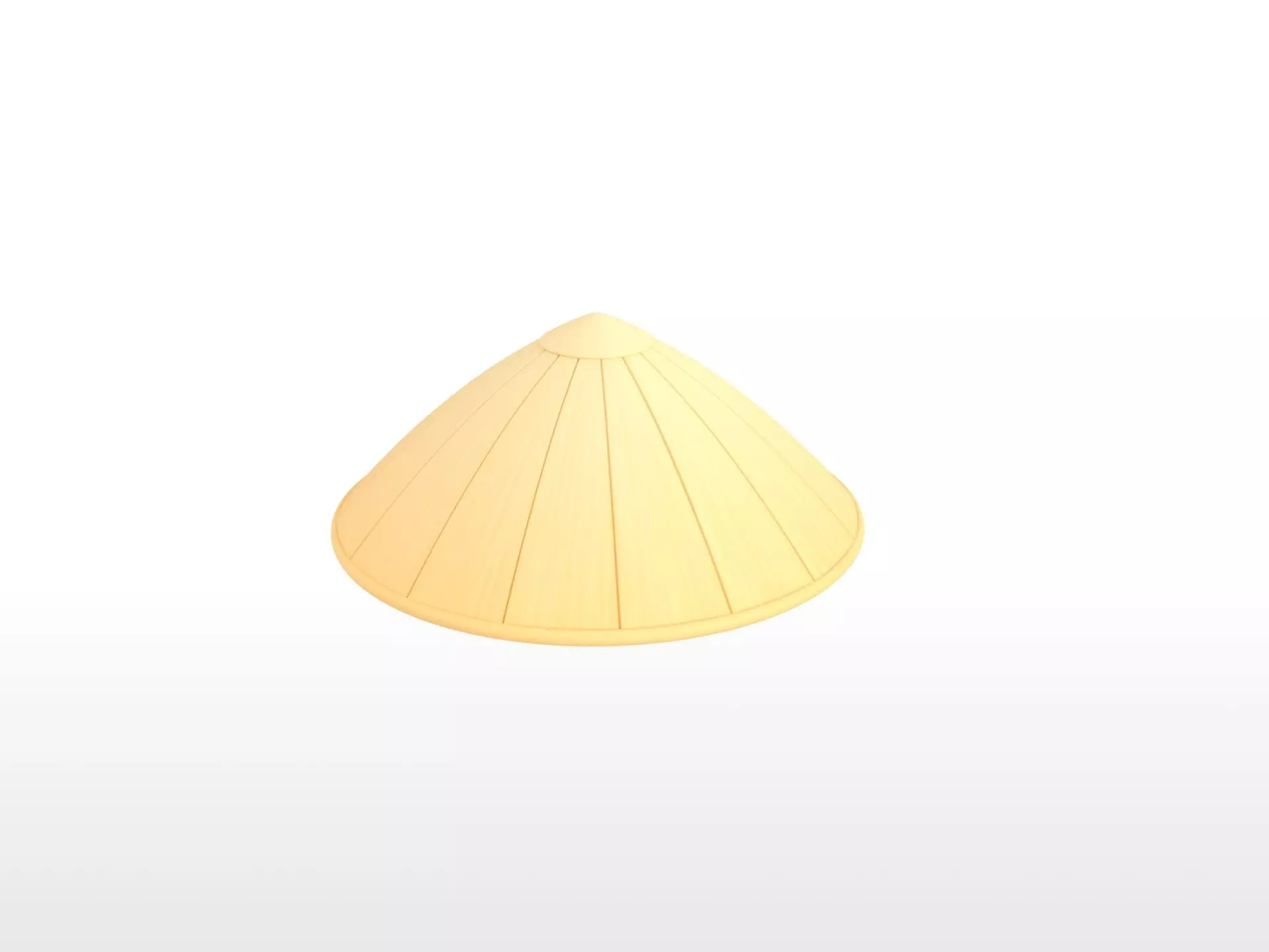 Hat041 Bamboo Hat 3D model_0