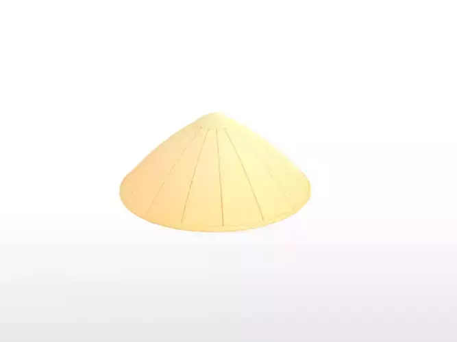 Hat041 Bamboo Hat 3D model