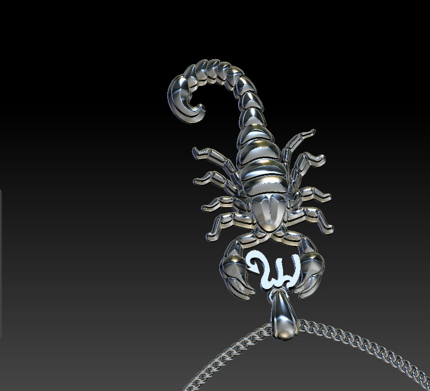 Scorpio Zodiac Sign Pendant print model 3D print model_9