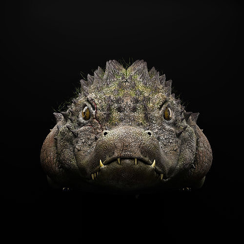 The Baby Crocodile Low-poly 3D model