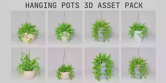 Potted Plants and Hanging Pots 3D Asset Pack