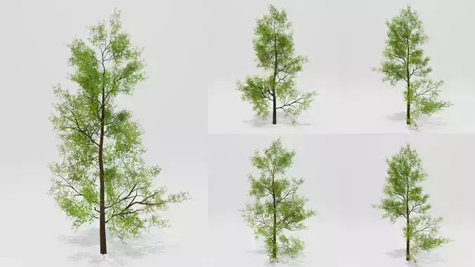 Realistic Low-poly Trees Pack