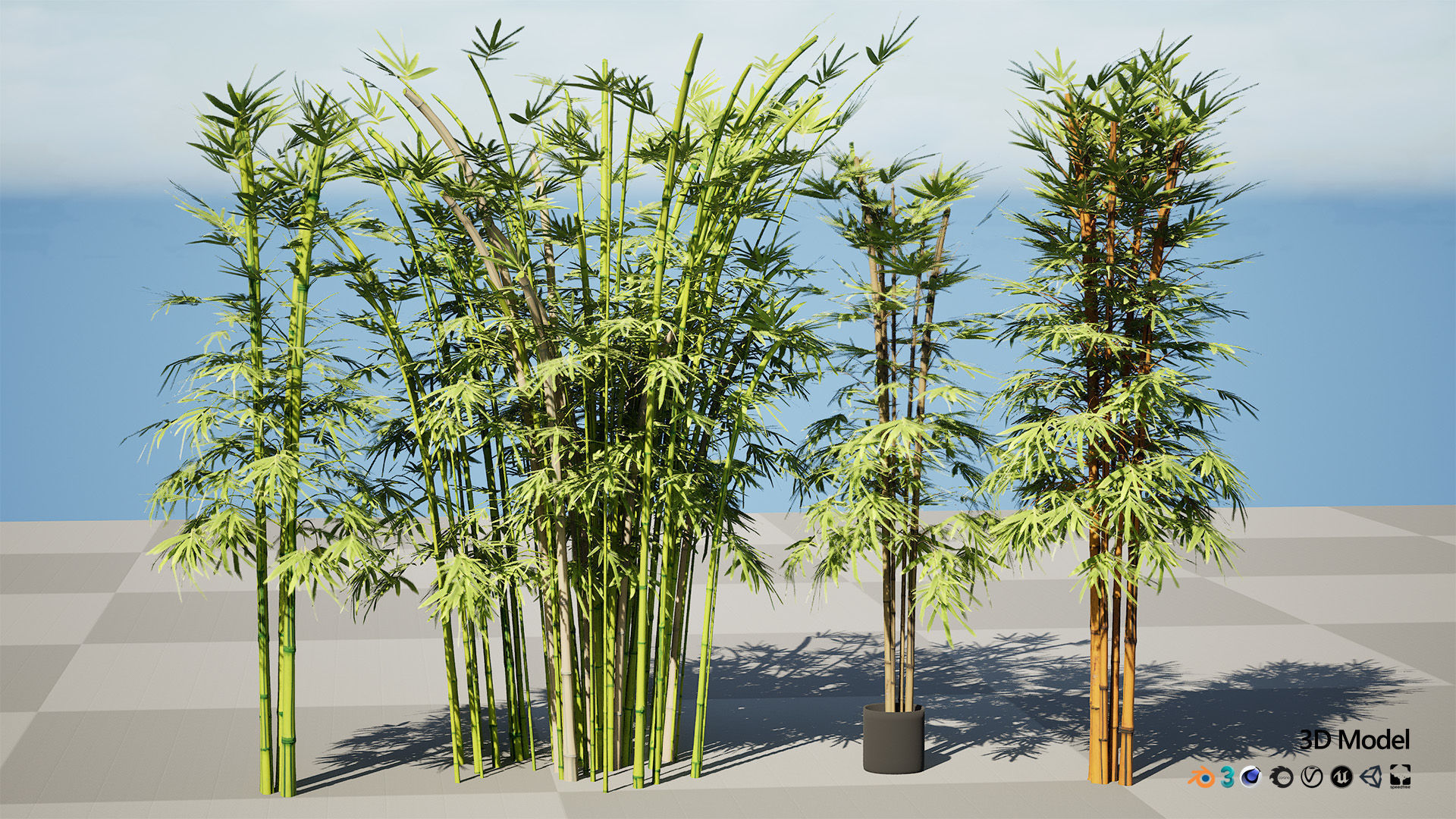 Realistic Bamboo Plants 3D Models Low-poly 3D model_3
