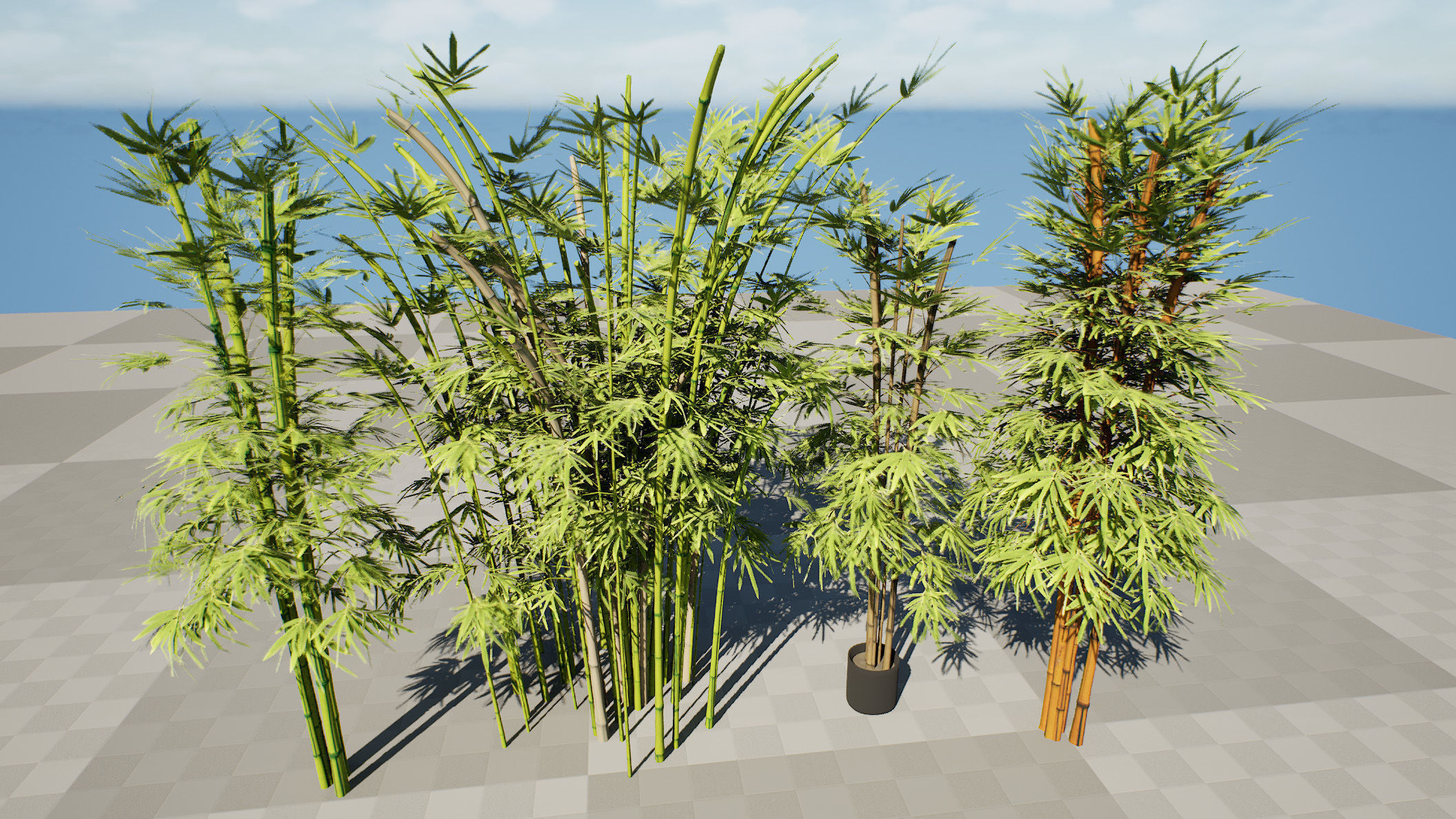 Realistic Bamboo Plants 3D Models Low-poly 3D model_6
