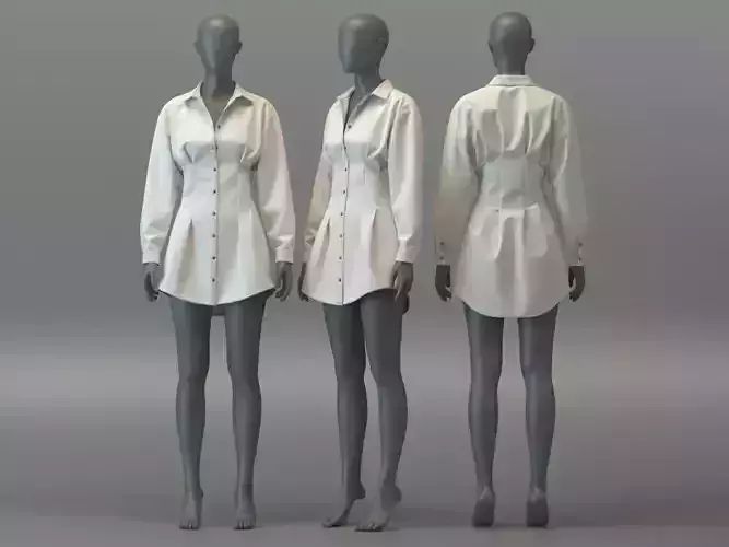 Shirt Dress with Darts