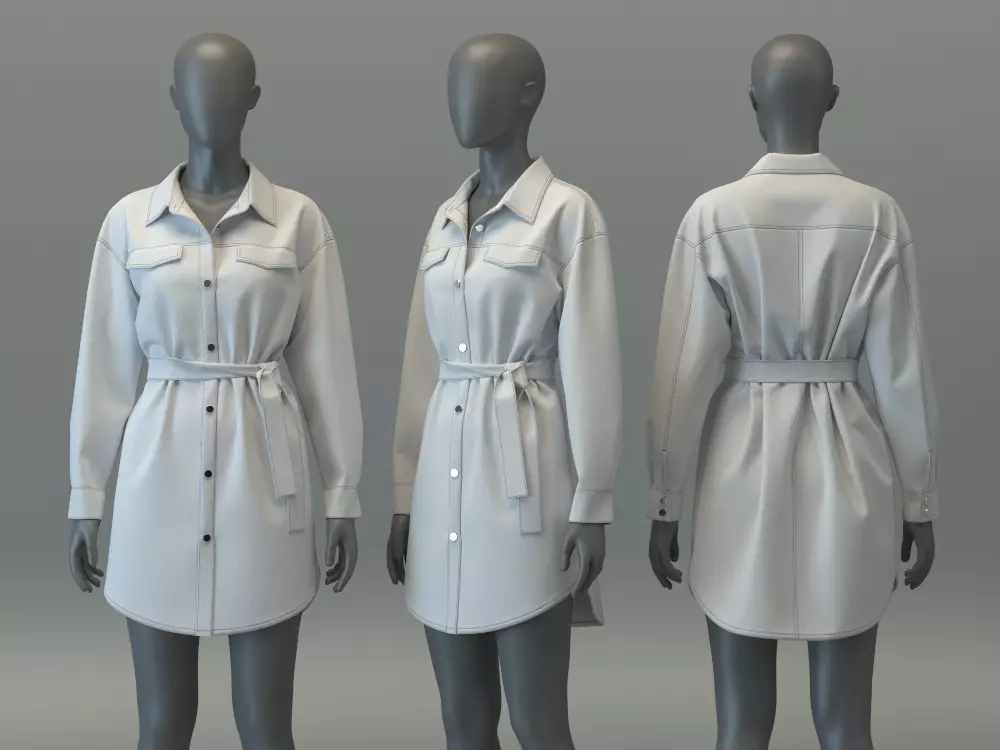 Mini Denim Dress 3D model