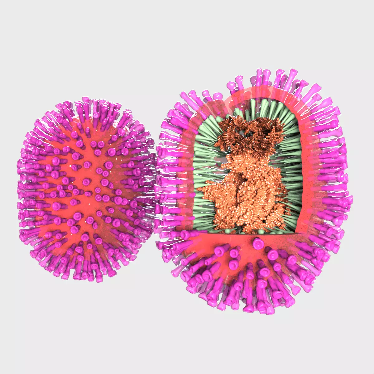 Flu Influenza Molecule 3D model_0