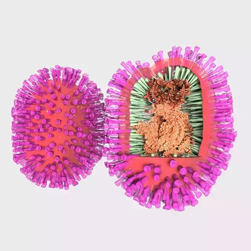 Flu Influenza Molecule