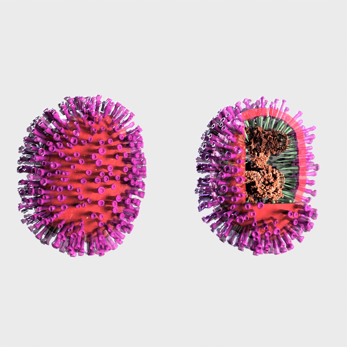 Flu Influenza Molecule 3D model_1