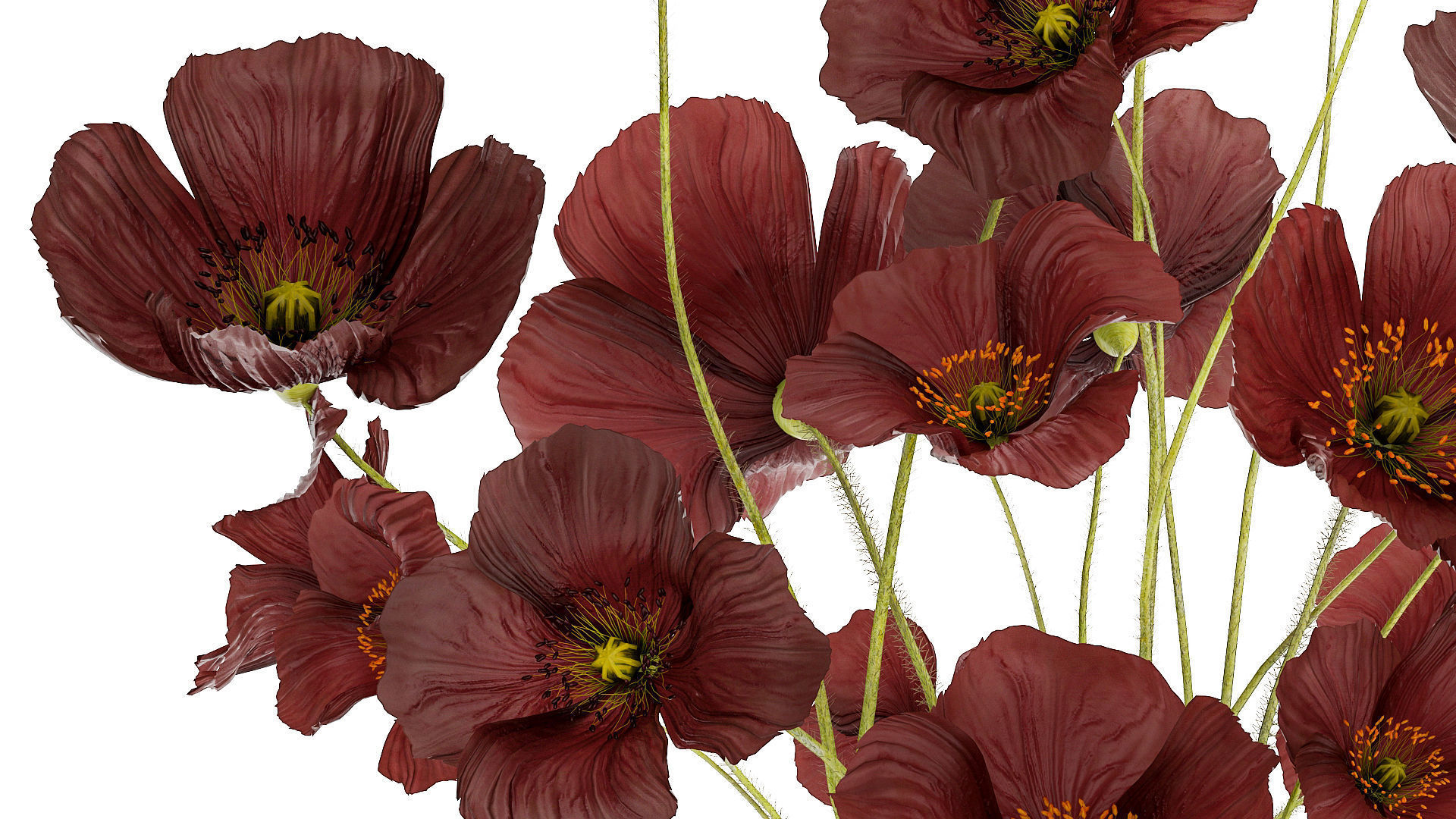 Beautiful bouquet of wild flowers in a vase with Poppy 3D model_1