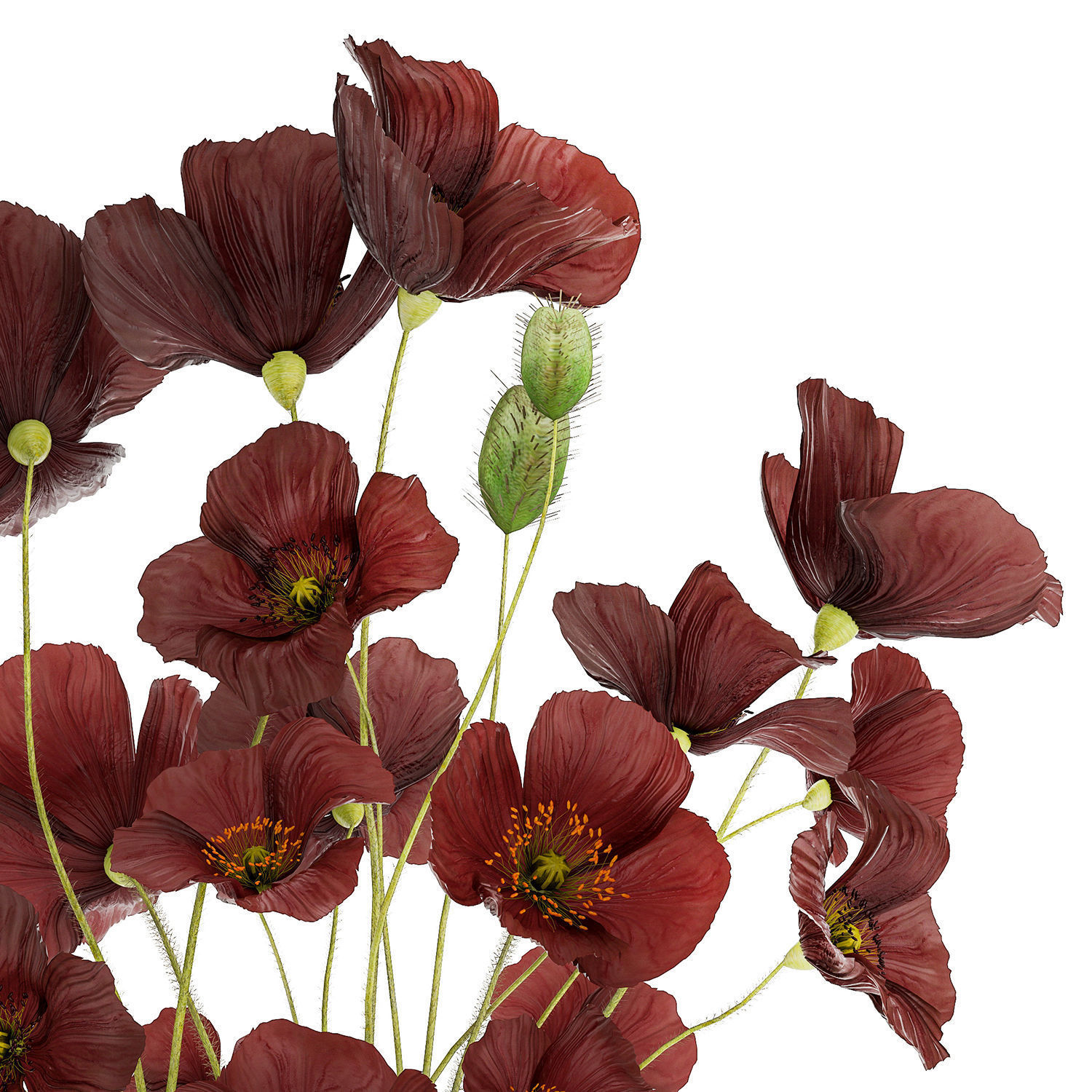 Beautiful bouquet of wild flowers in a vase with Poppy 3D model_12