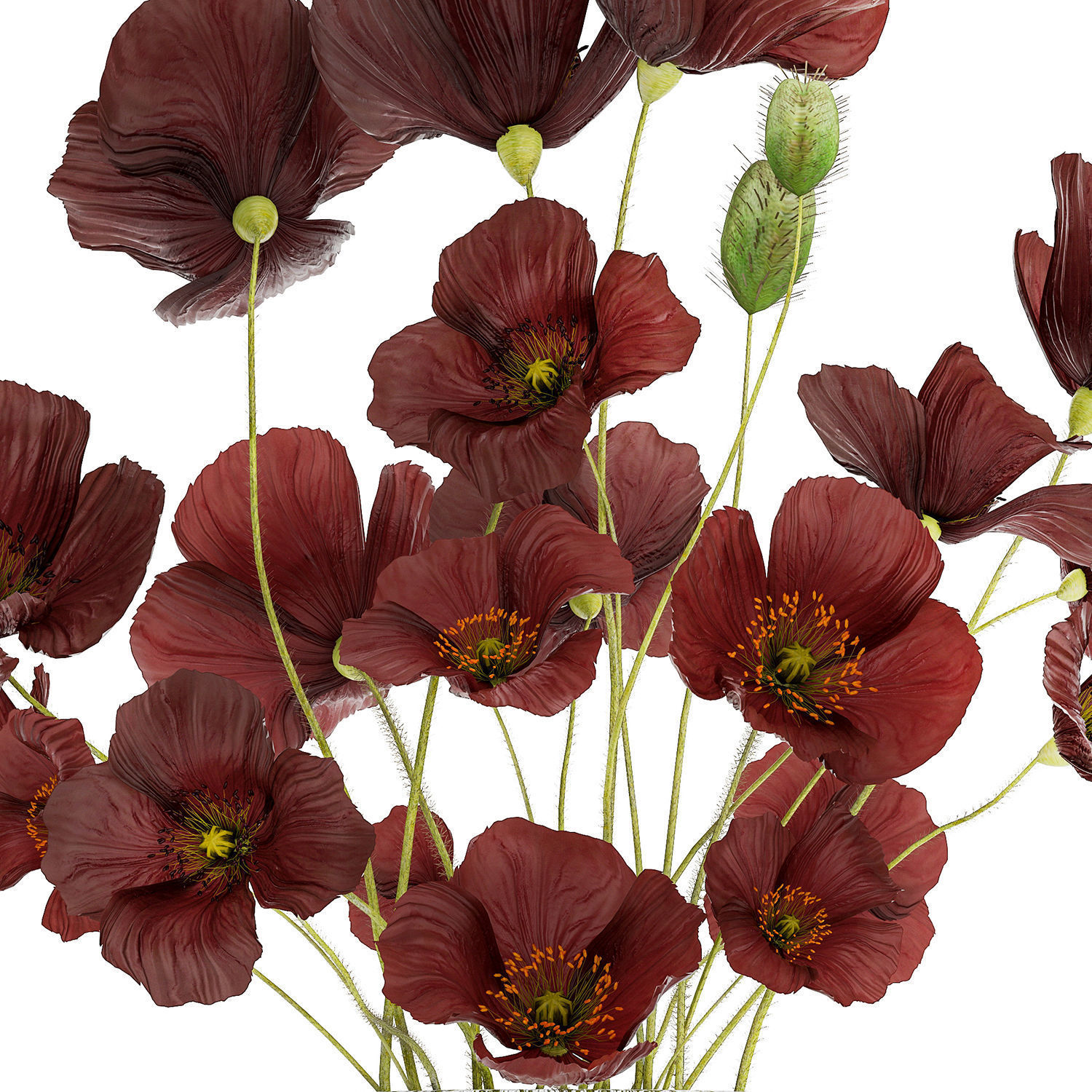 Beautiful bouquet of wild flowers in a vase with Poppy 3D model_14