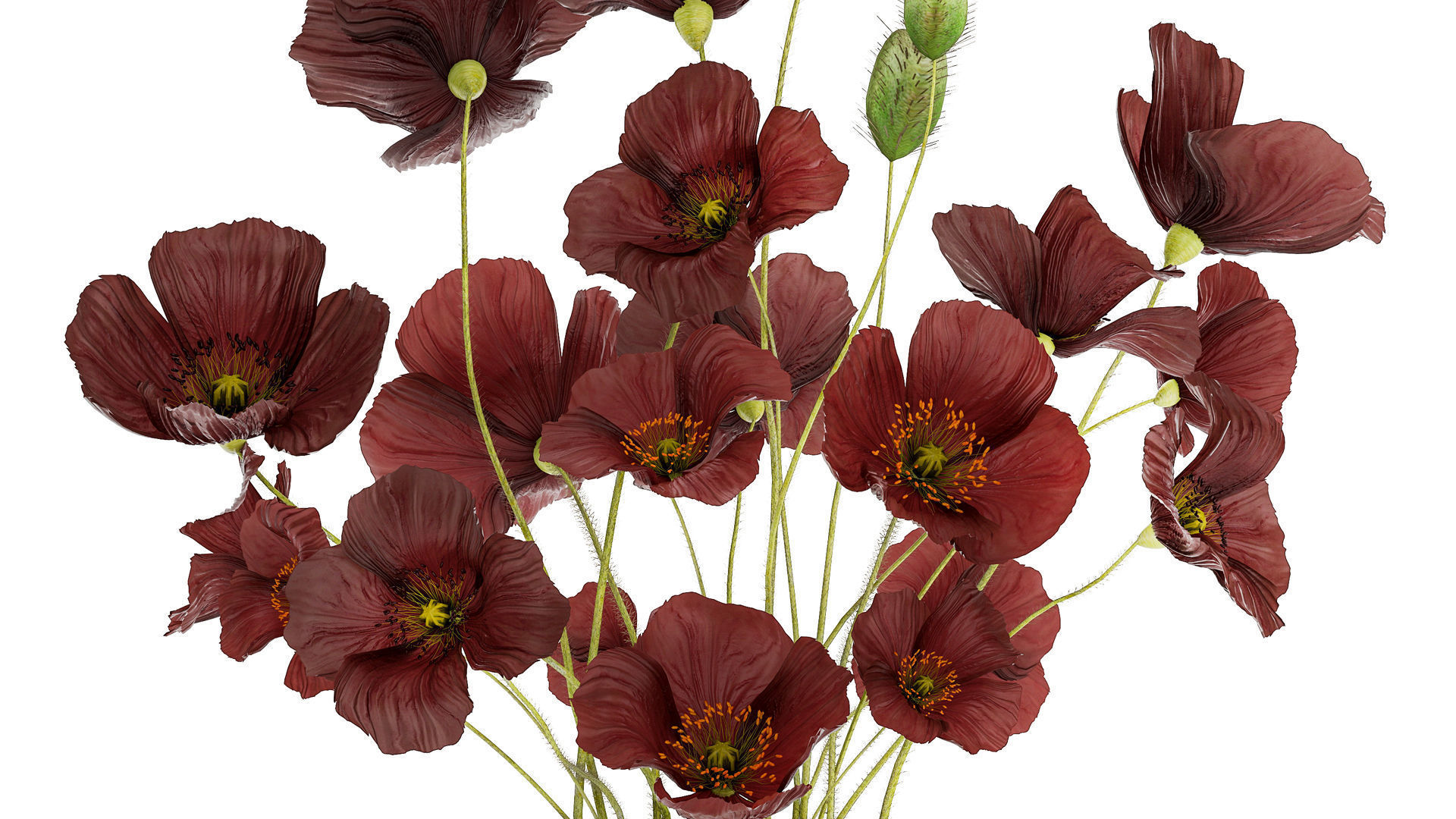 Beautiful bouquet of wild flowers in a vase with Poppy 3D model_6