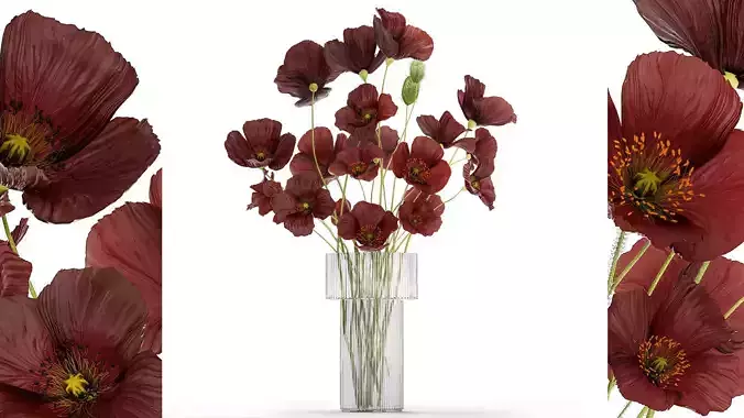 Beautiful bouquet of wild flowers in a vase with Poppy 3D model