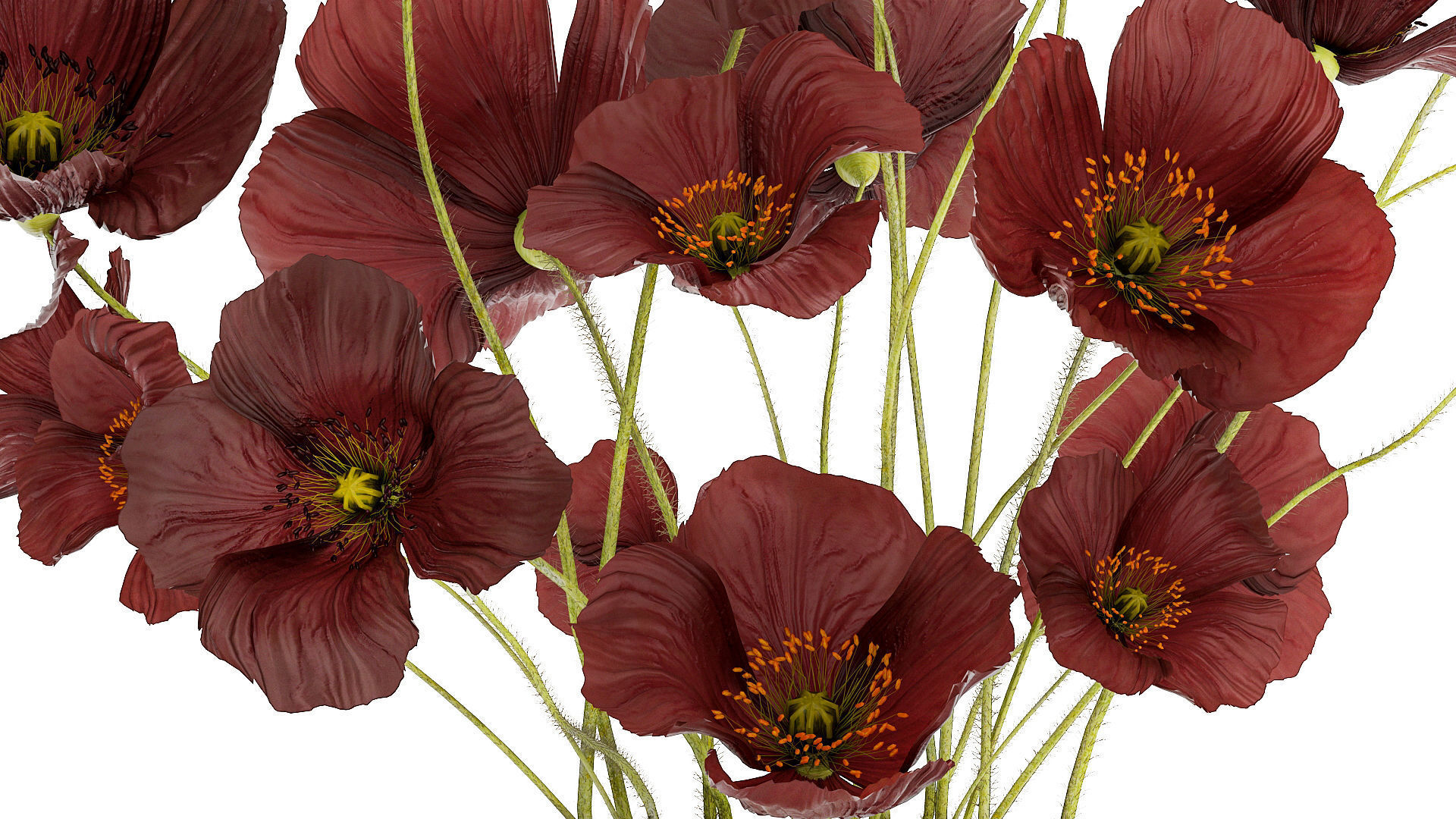 Beautiful bouquet of wild flowers in a vase with Poppy 3D model_7