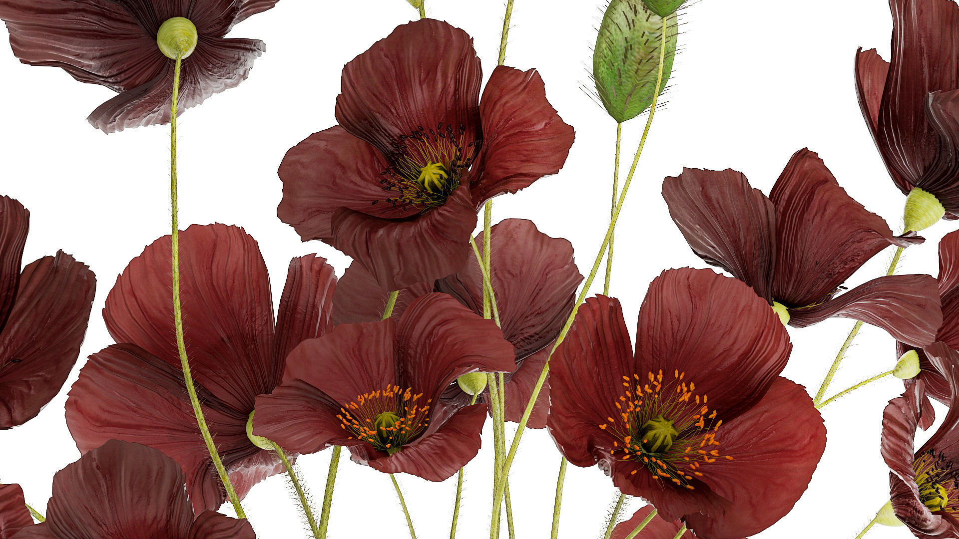 Beautiful bouquet of wild flowers in a vase with Poppy 3D model_8