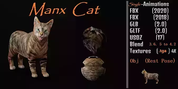 Manx Cat