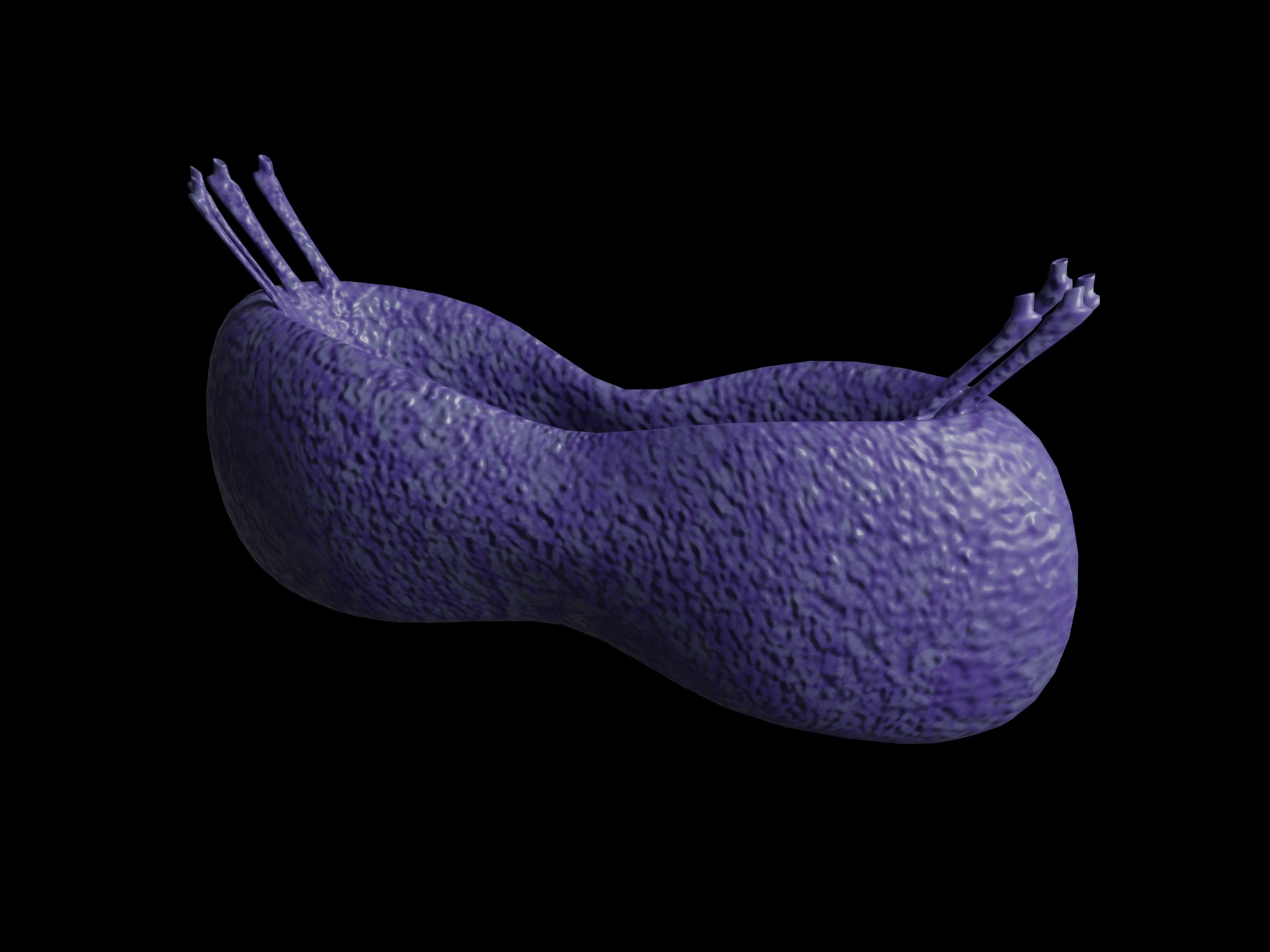 Collection of viruses and cells Low-poly 3D model_10