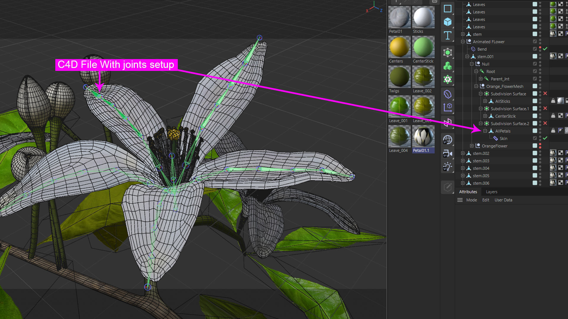 Animated Orange Tree Flower 3D model_18