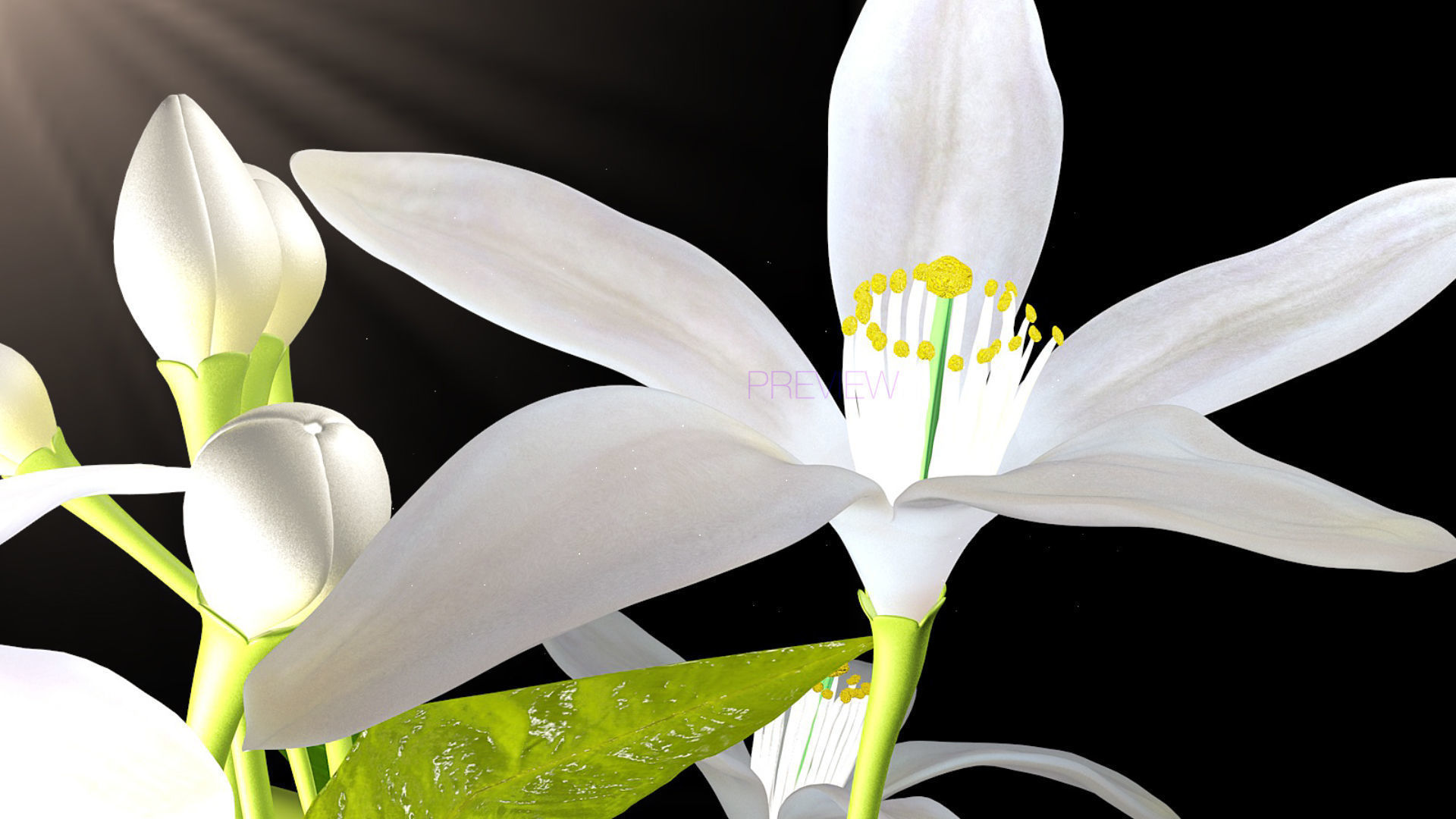 Animated Orange Tree Flower 3D model_11