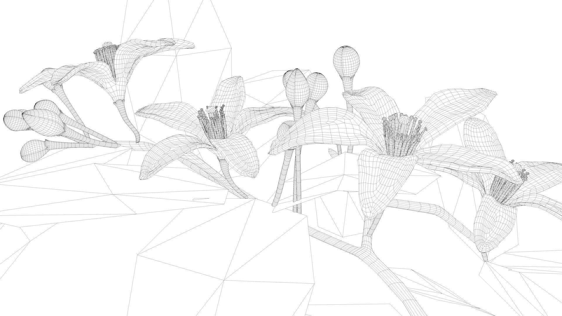 Animated Orange Tree Flower 3D model_19