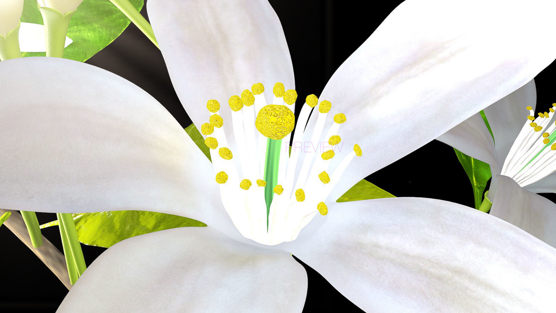 Animated Orange Tree Flower 3D model_8